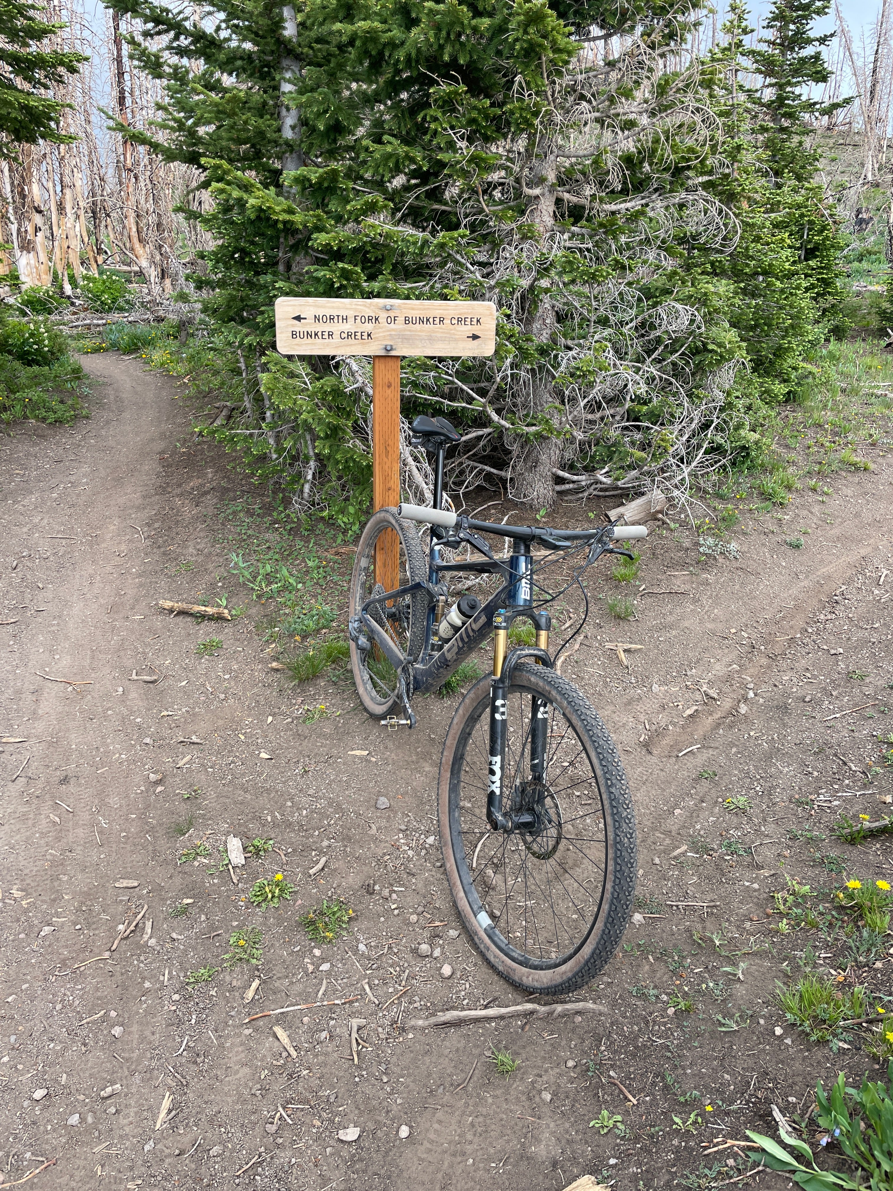 ABOVE THE NOISE AND CONFUSION