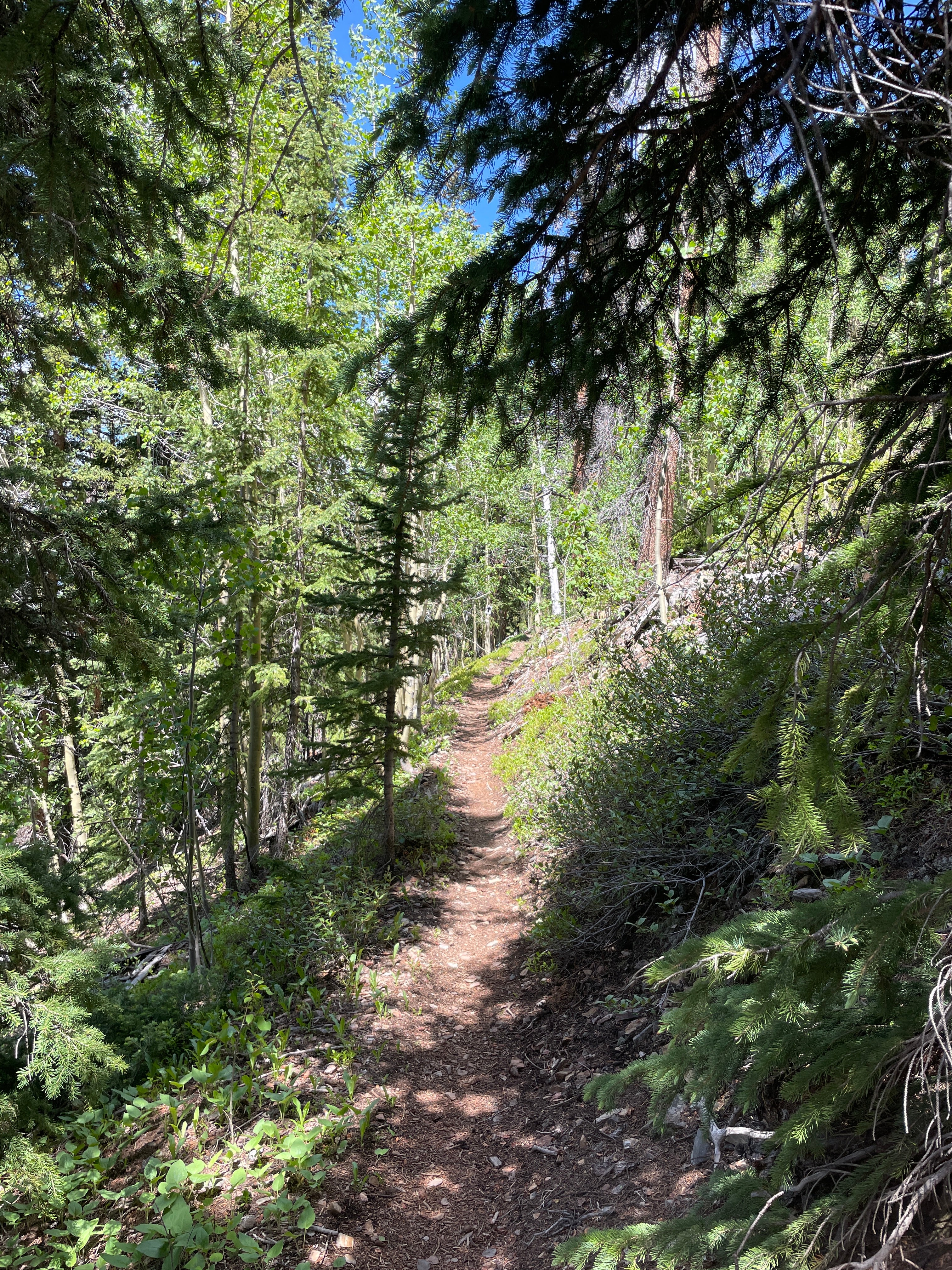 THE RULE OF 3 FOR RACING AT ALTITUDE