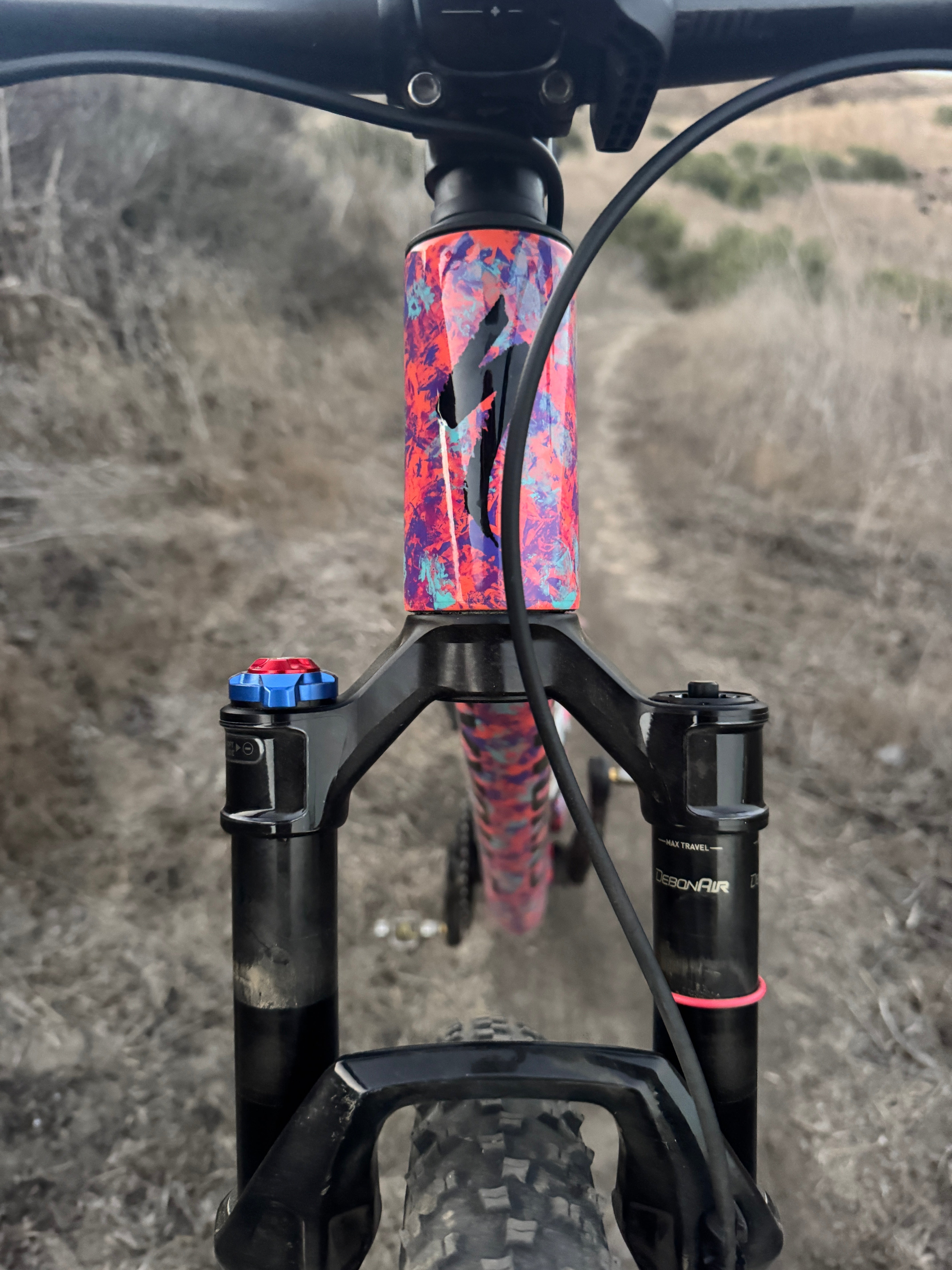 THE DEVIL LET ME DO IT