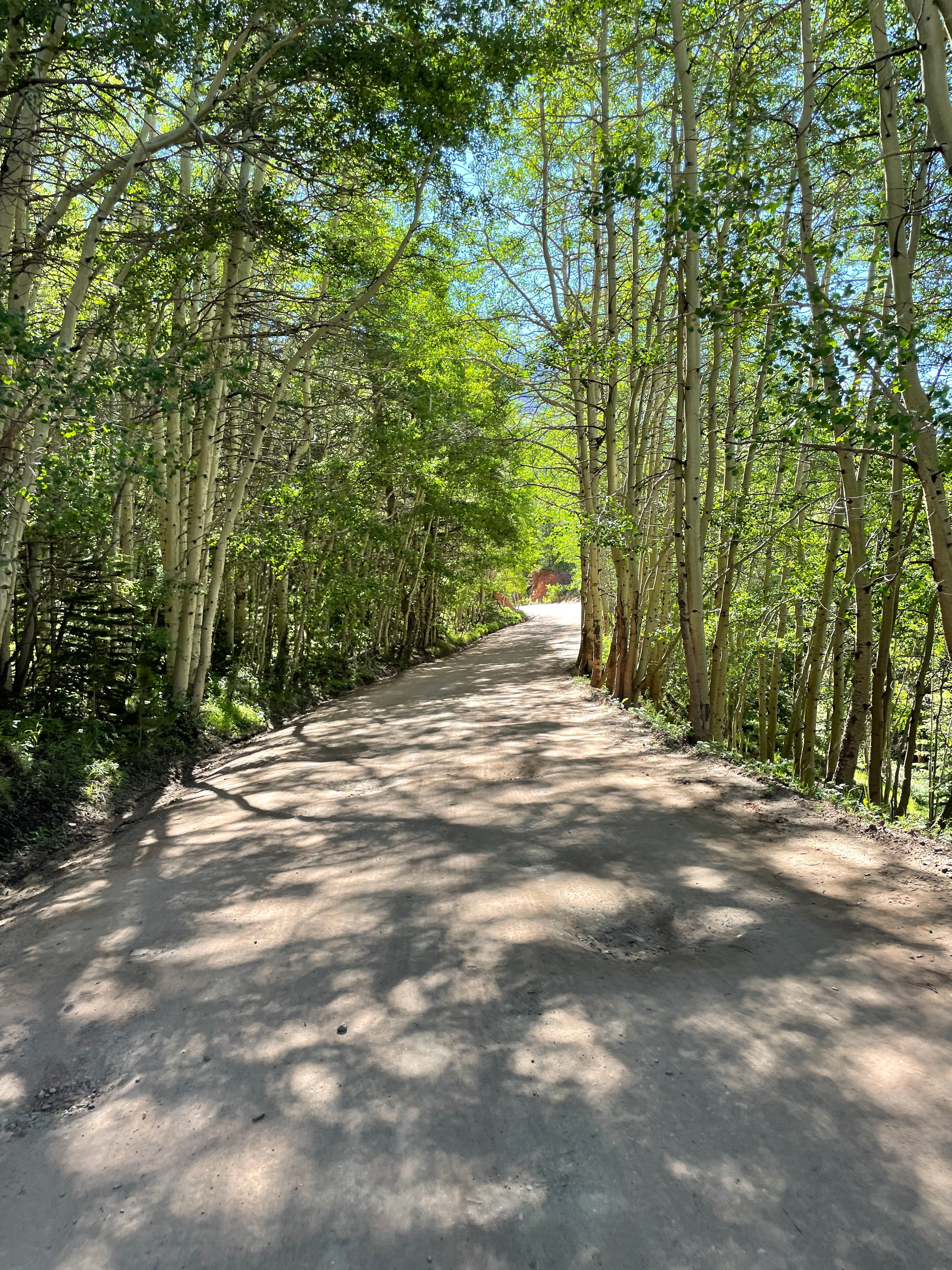 IT NEVER WAS ABOUT RACING