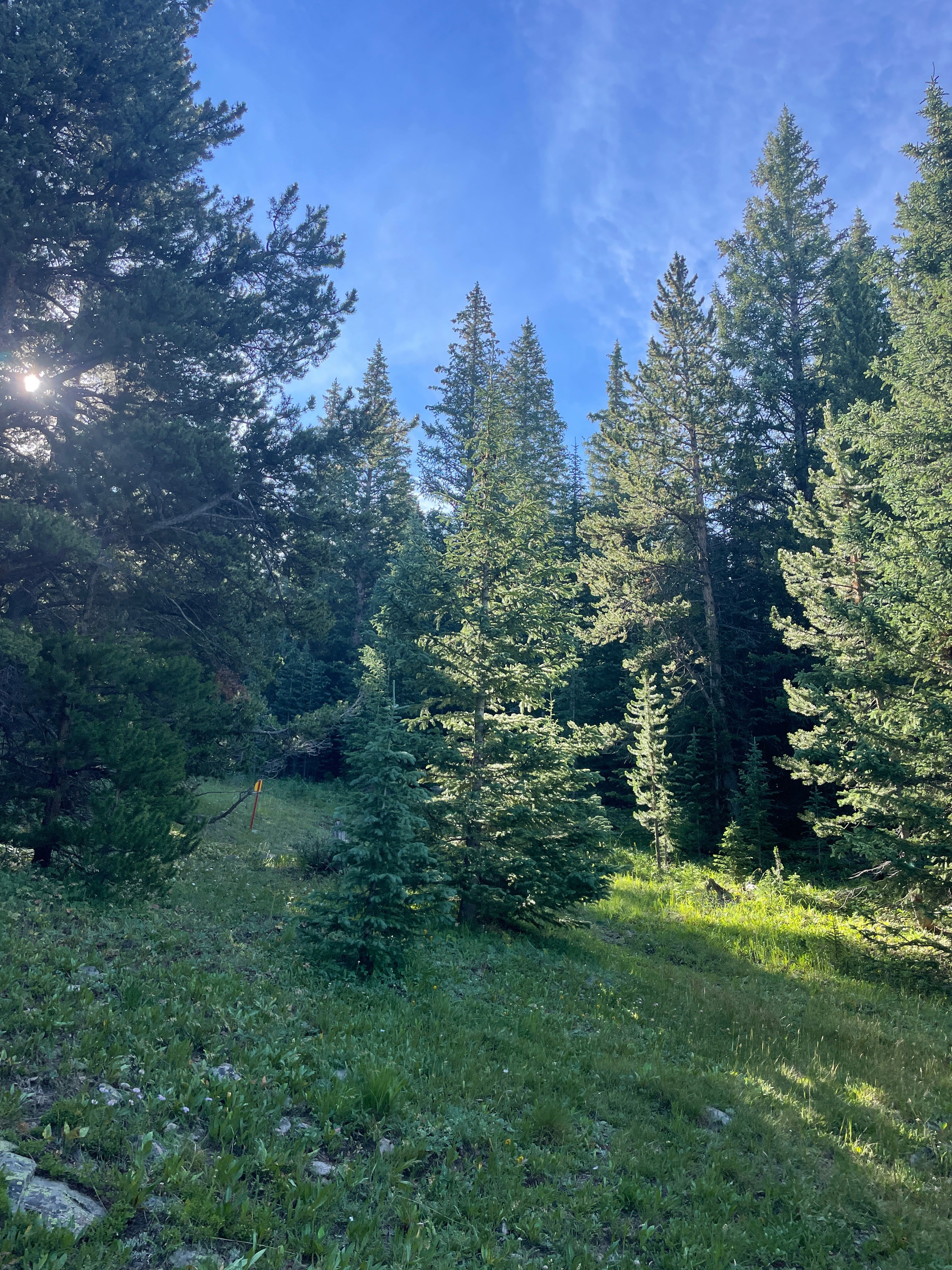 HOW DO YOU SPELL CONFIDENCE?