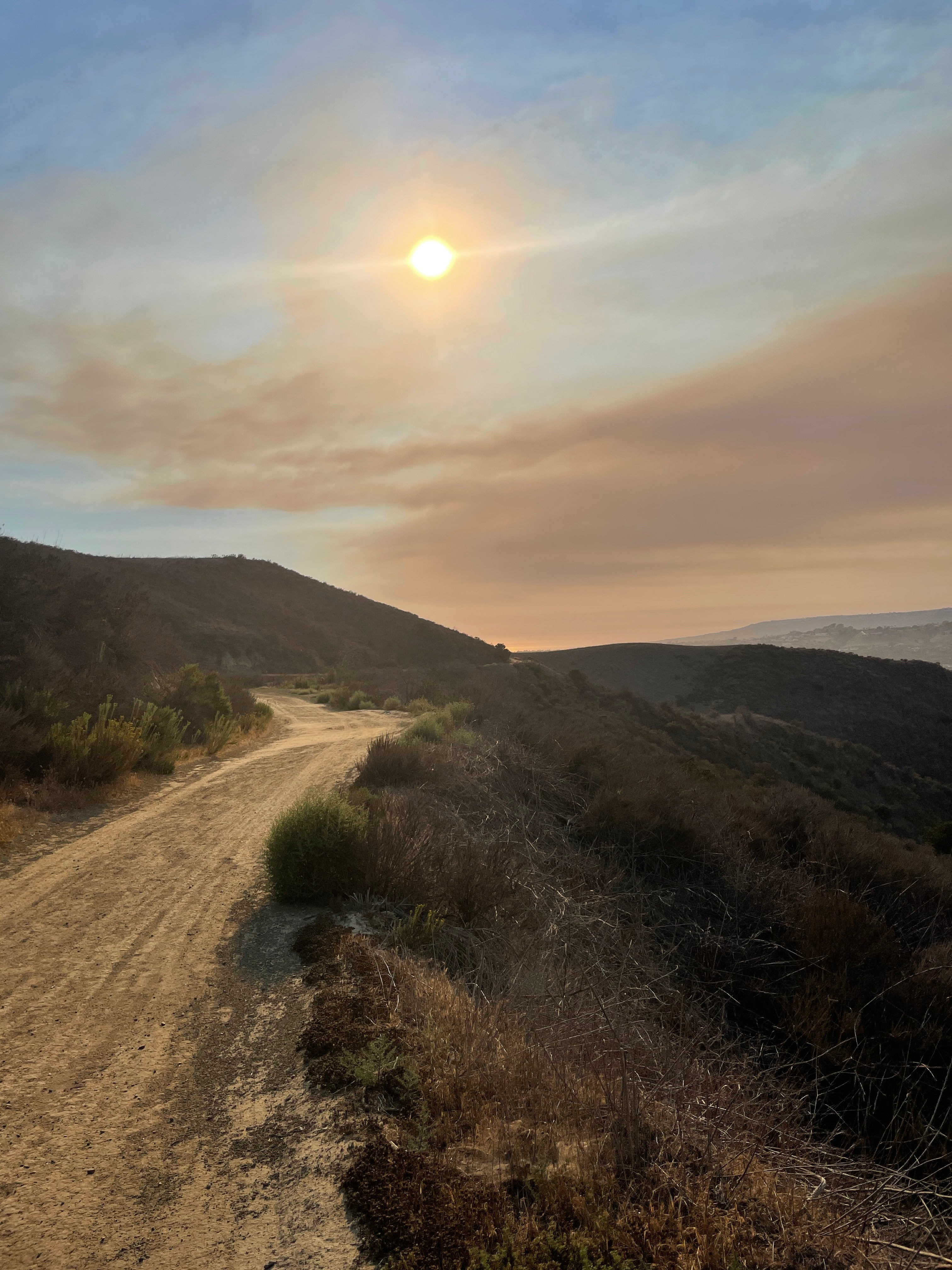 SOME COACHES TALK ABOUT LIMITERS