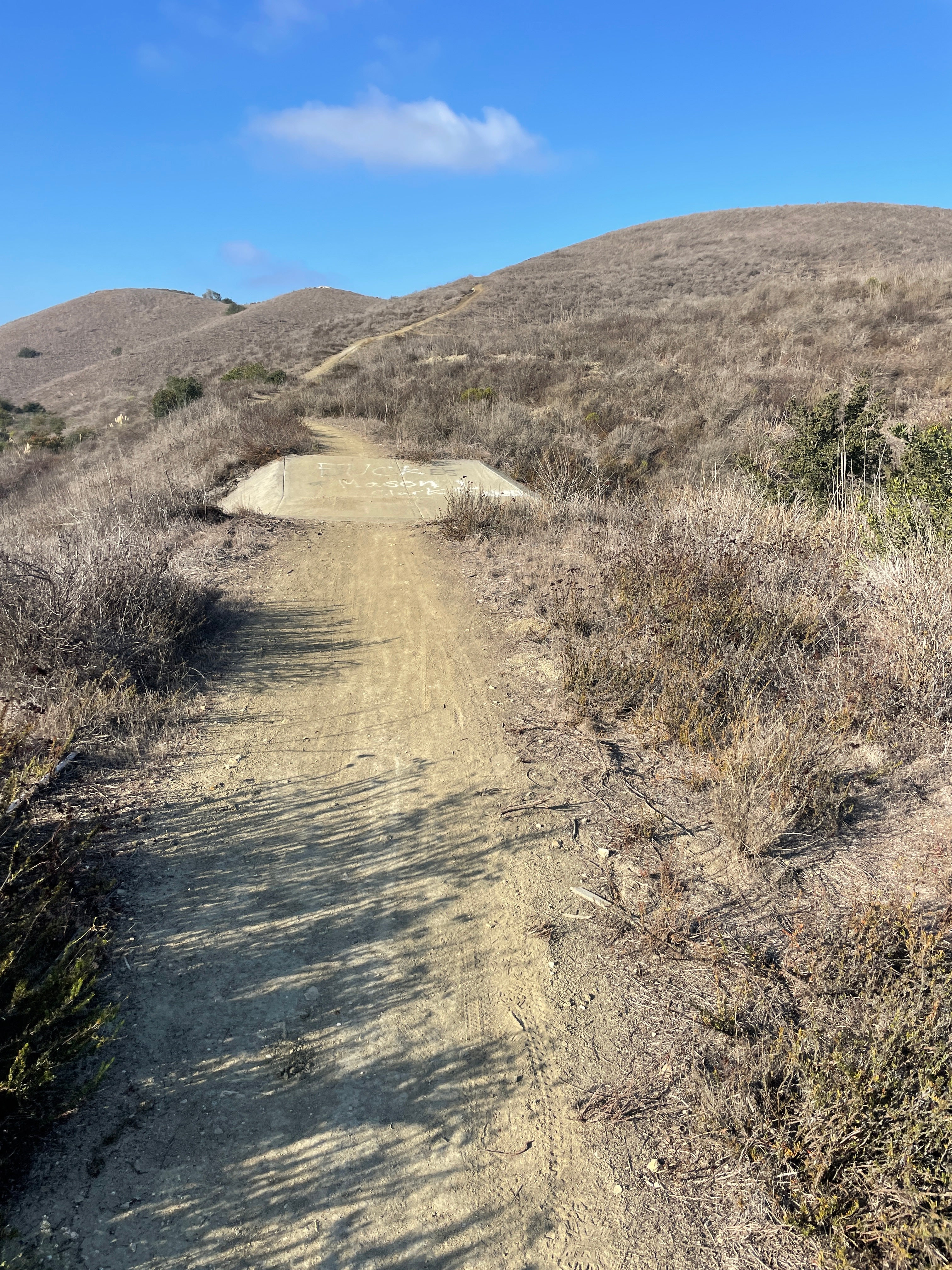 A DUMB THING CAN BE A GOOD THING