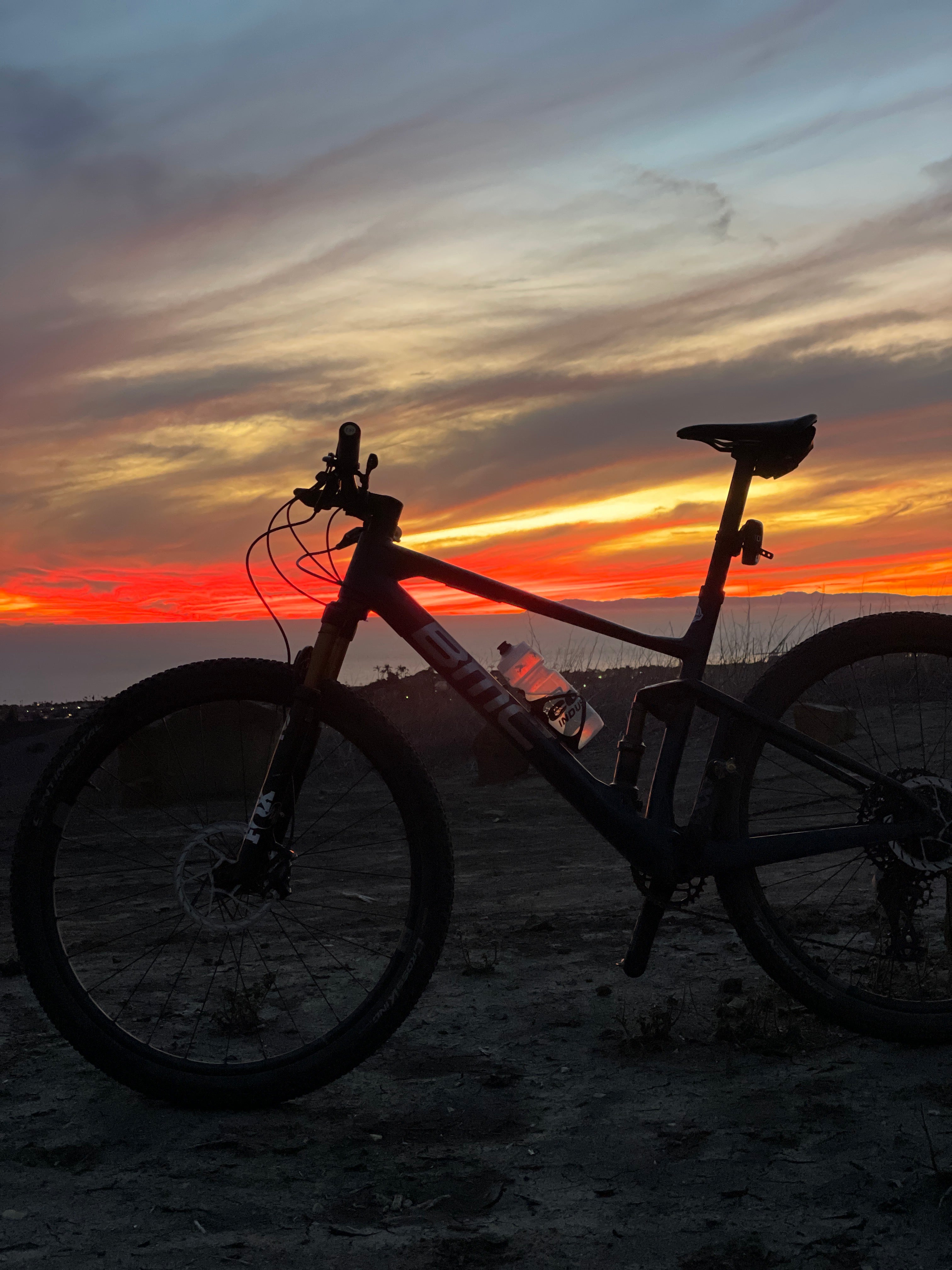 I FEEL LIKE I COULD FIGHT A LION