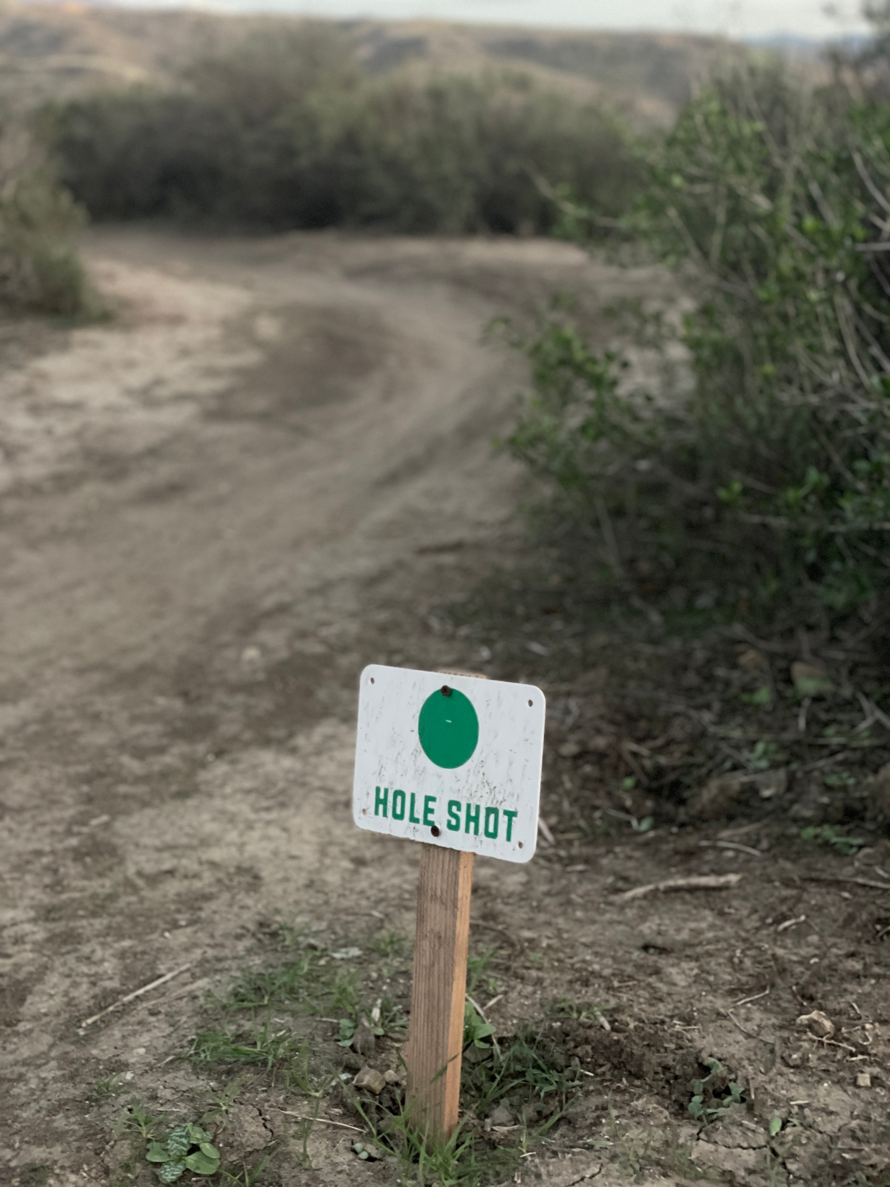 3 TRAITS ALL WINNERS HAVE