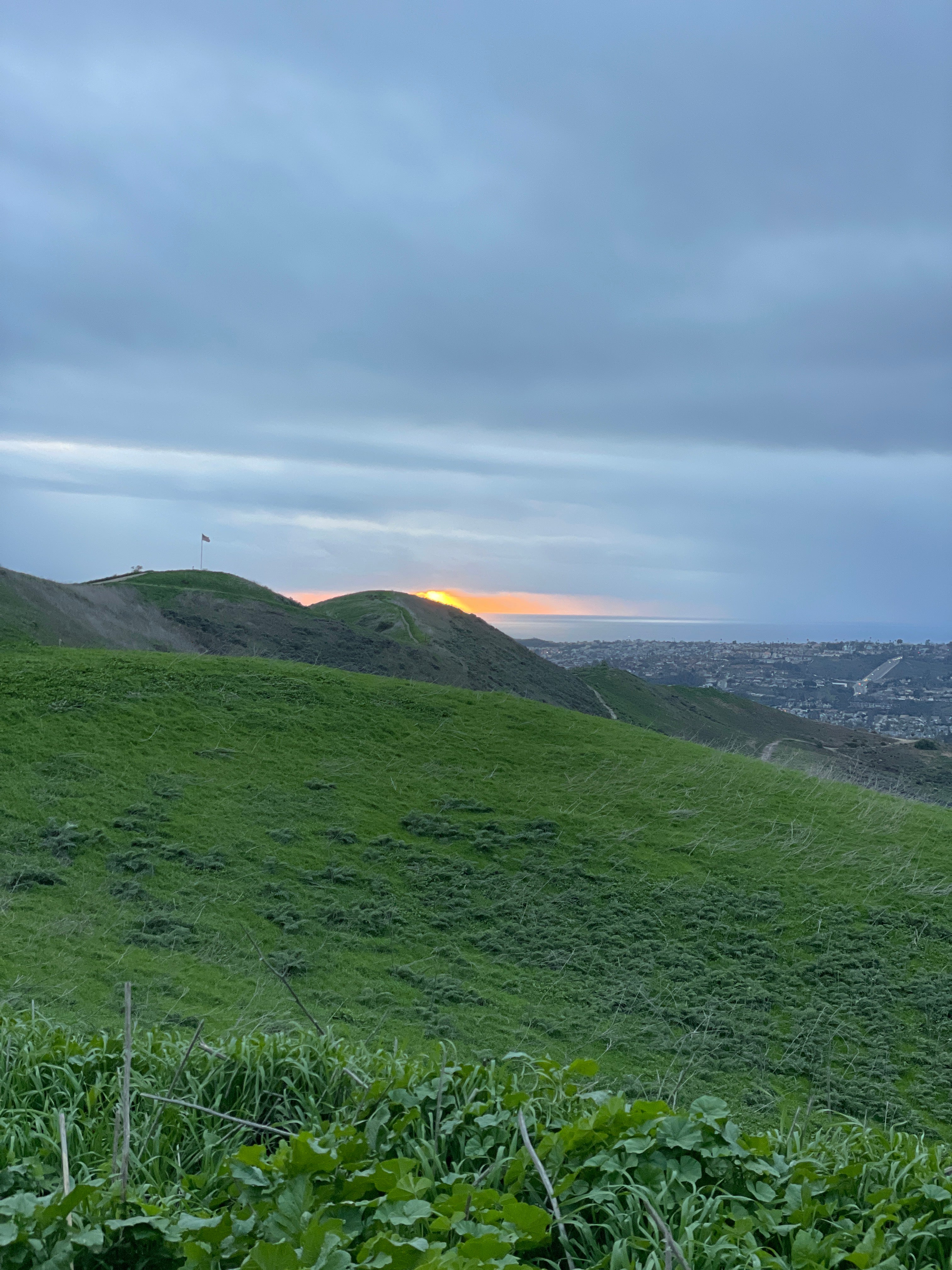 REMEMBERING TYLER HAMILTON