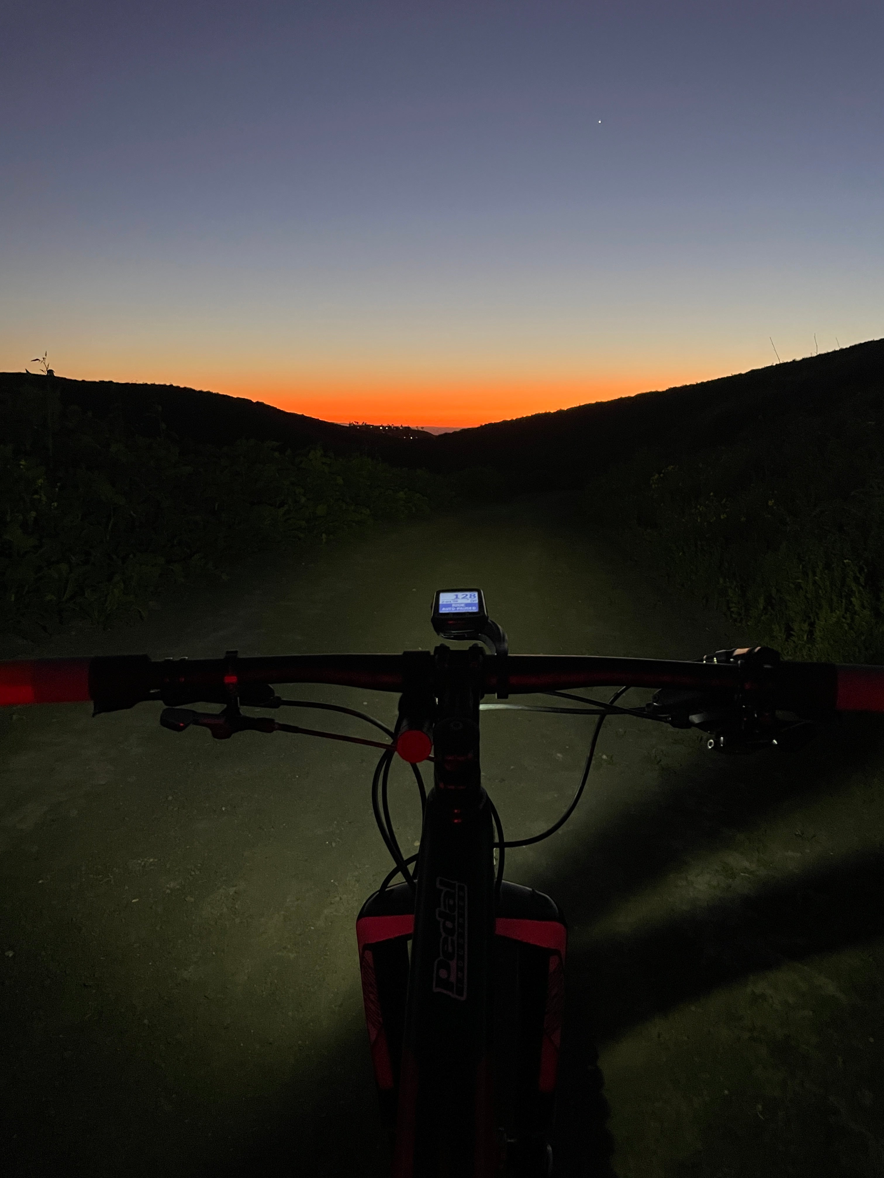 THAT LOOKS NASTY, LET'S GIVE IT A FEW WEEKS