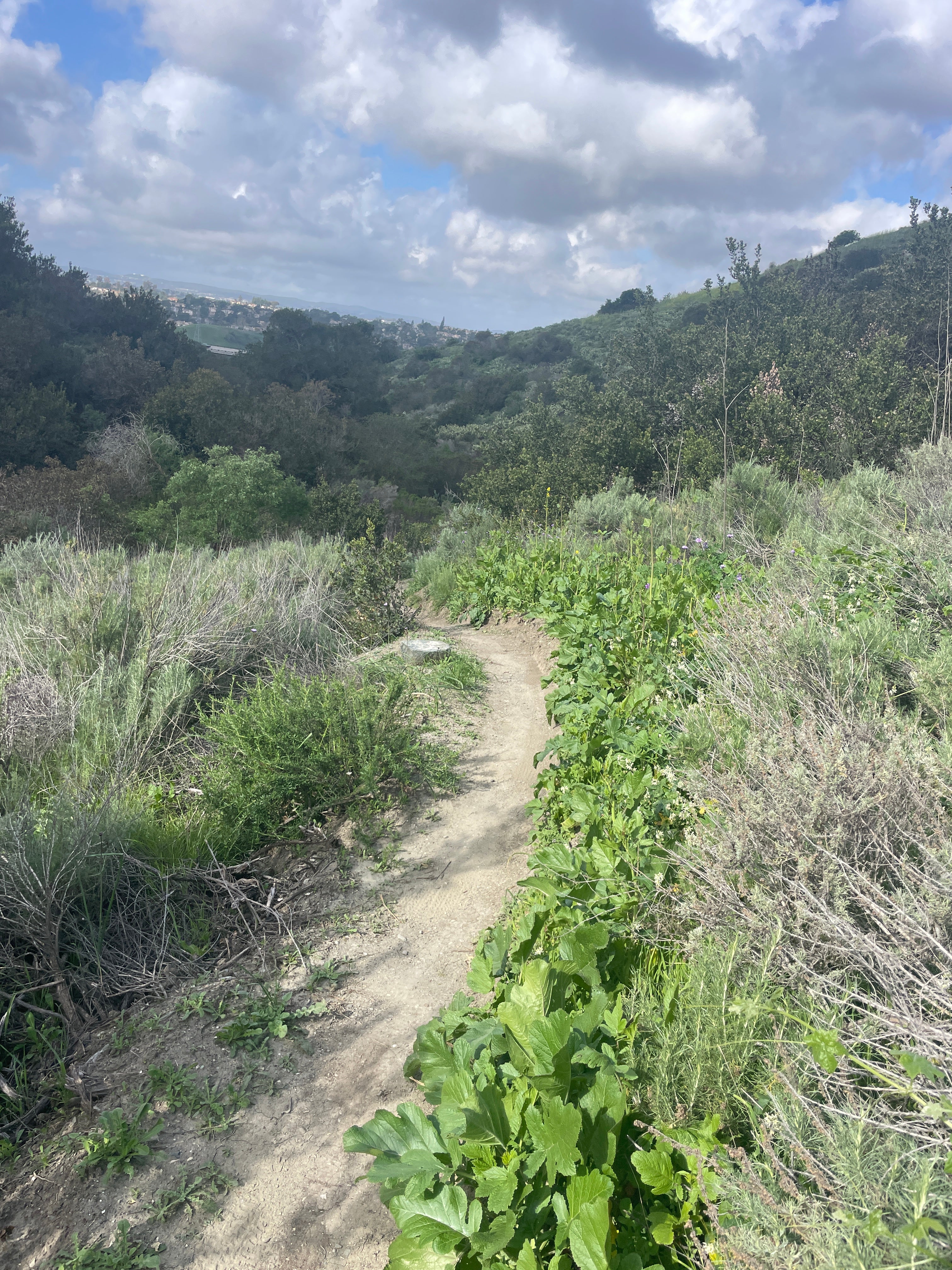 1 OF 2 THINGS WE MUST LEARN TO SUFFER