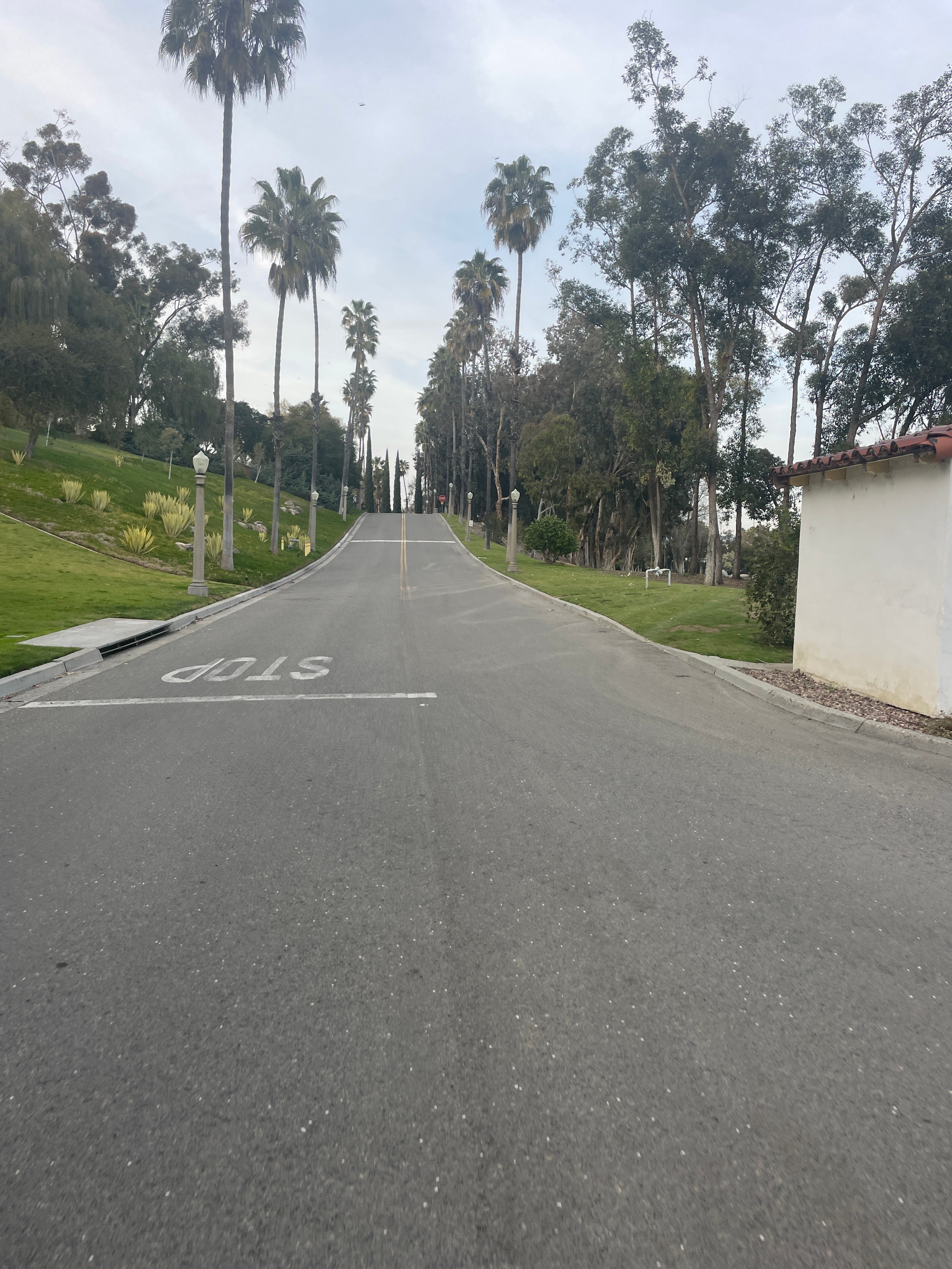 THE MOST UNDERRATED SKILL IN ROAD RACING