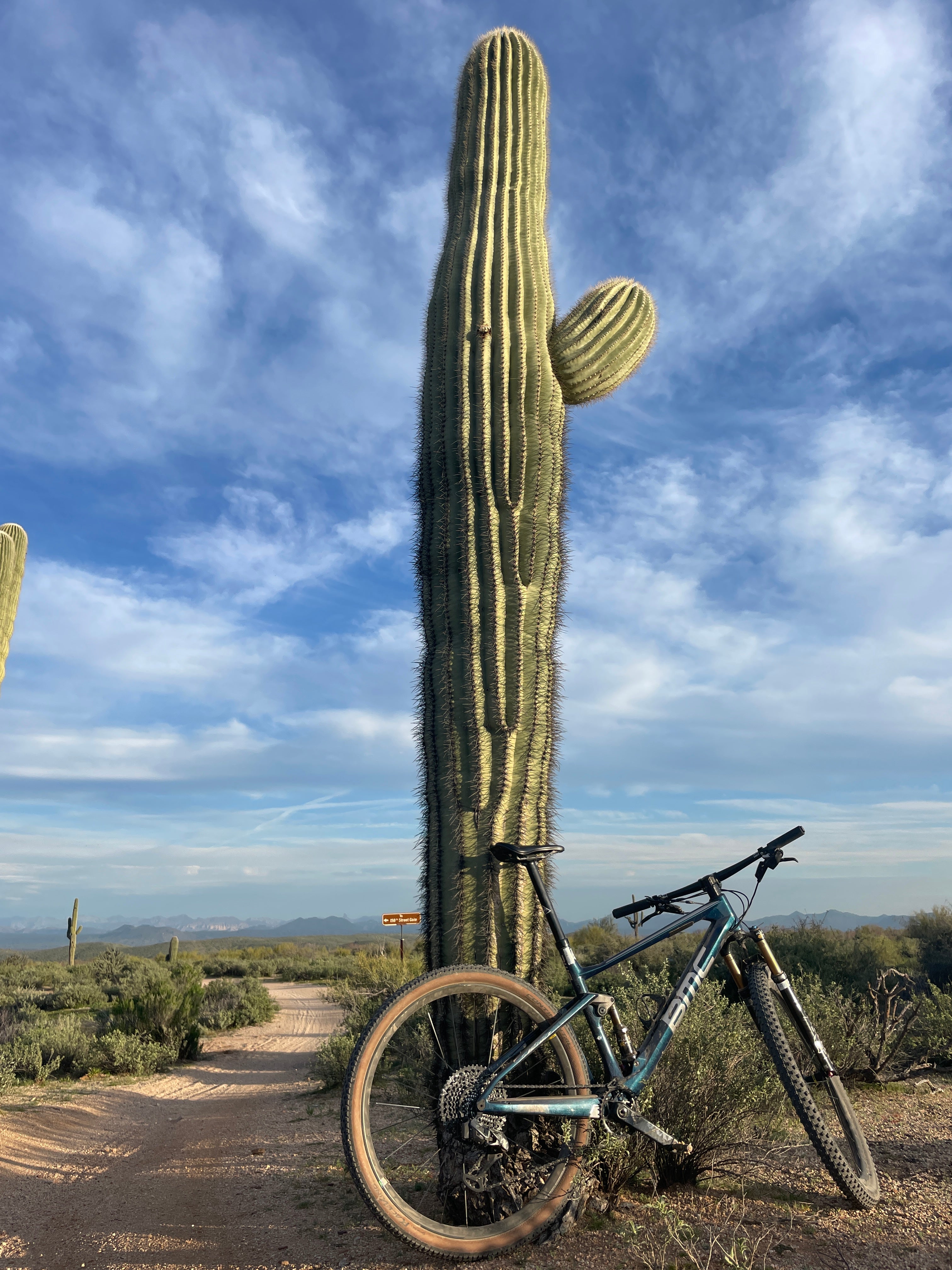 THE 1 THING PROS DO AND AMATEURS DON'T, BUT COULD