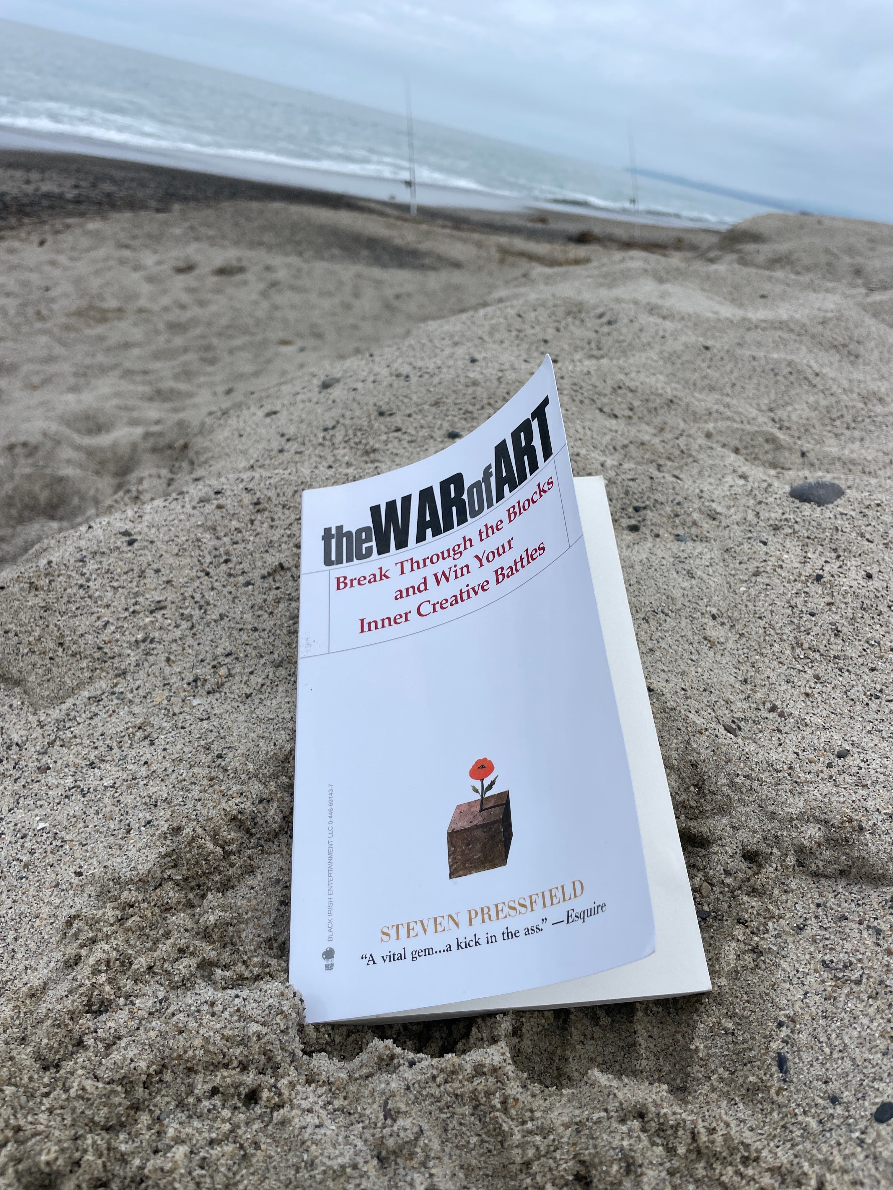 DO YOU WHEELSUCK OR JUST SUCK?