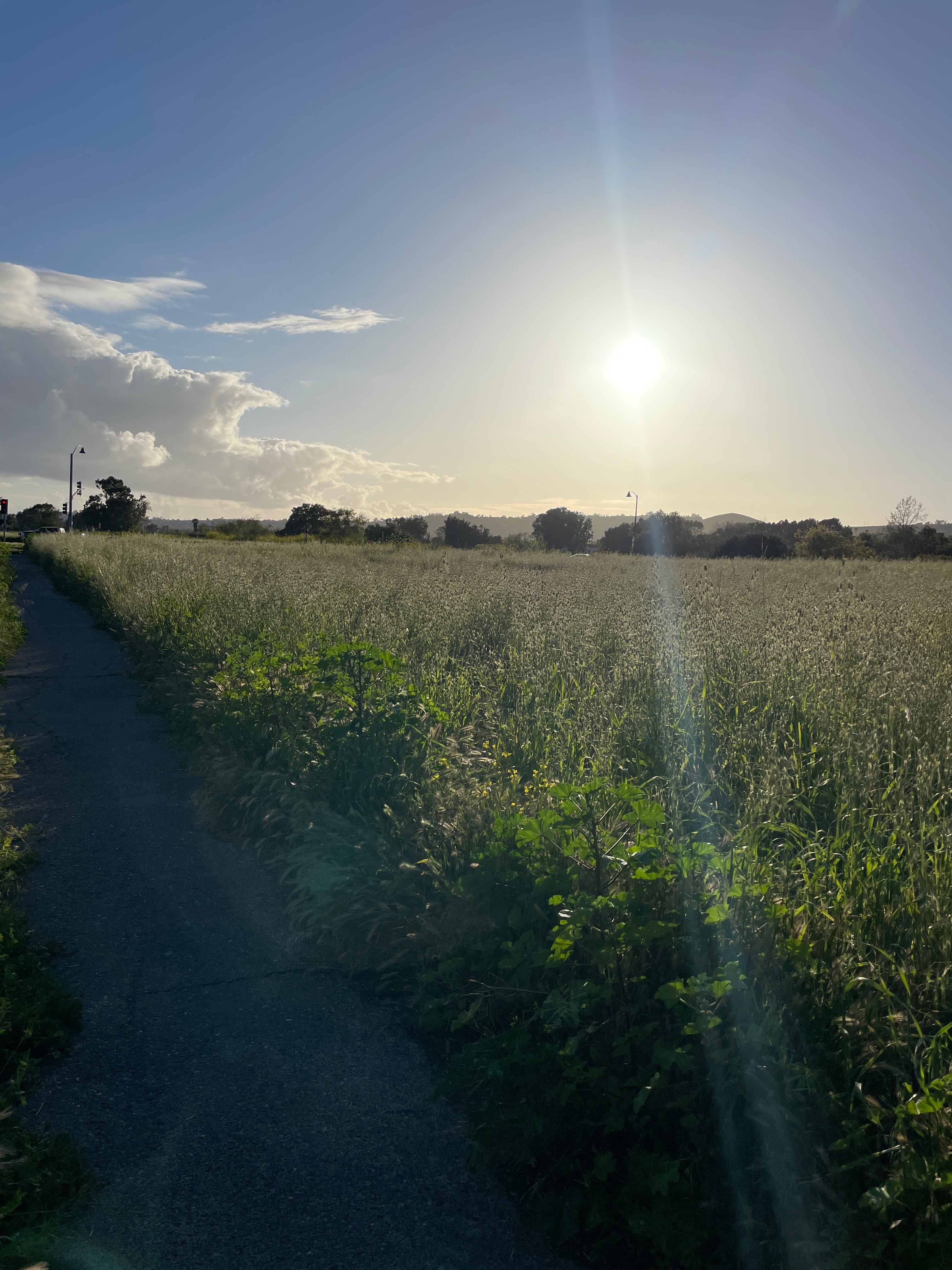 IS THIS YOUR RELIGION OR ARE YOU SIMPLY RELIGIOUS?