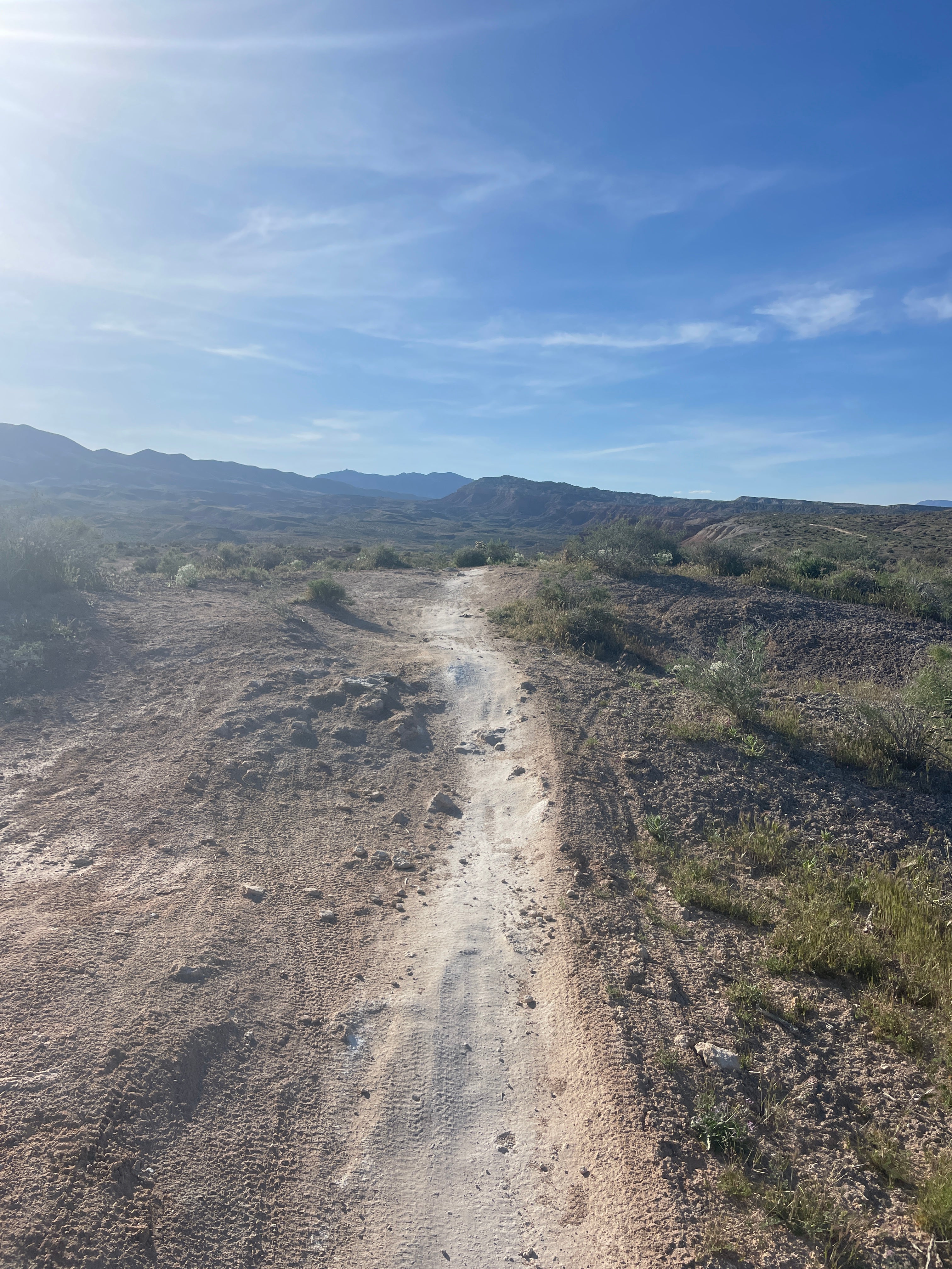 ADVENTURE: STUPID OR SMART?