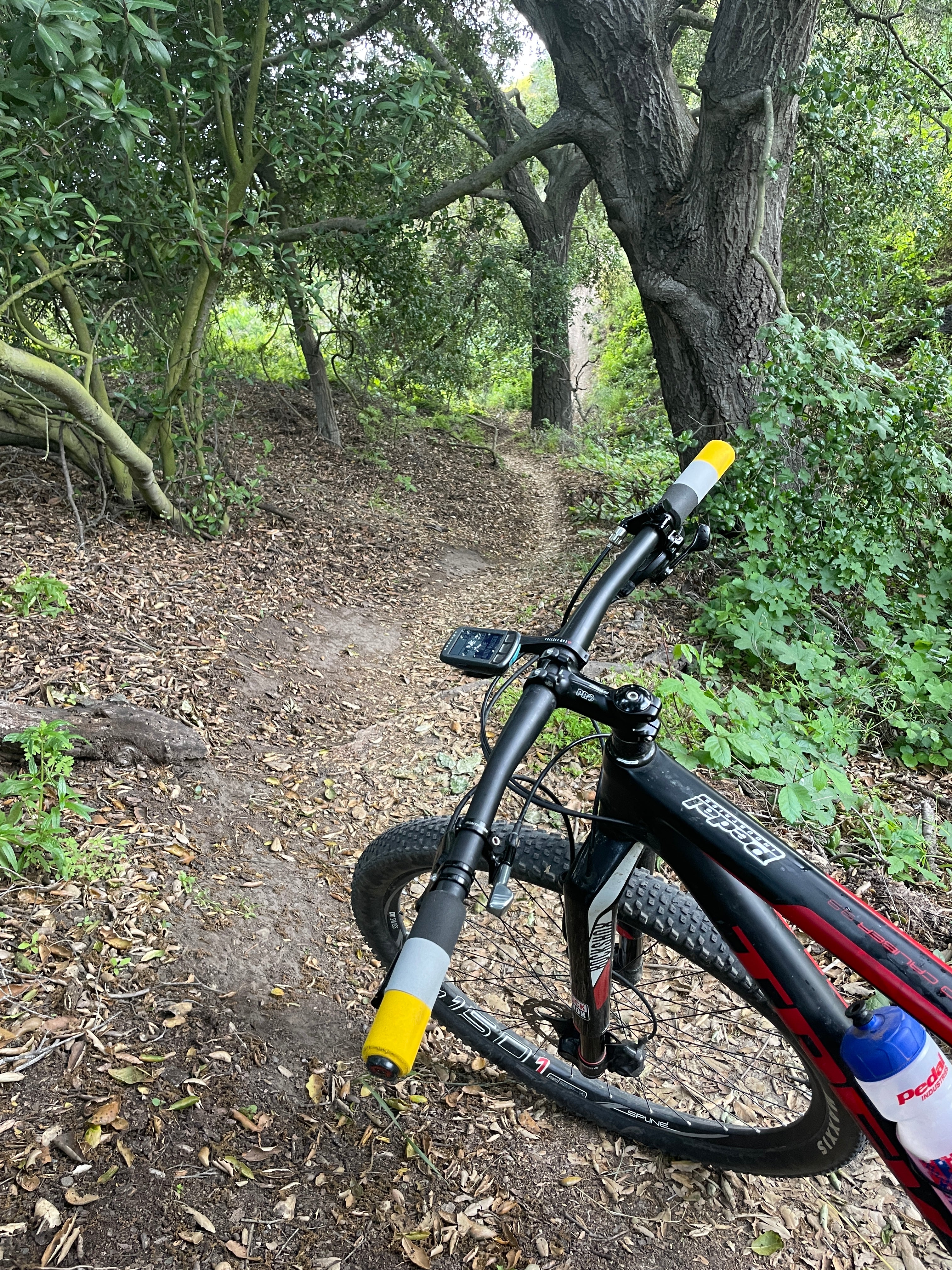 BUSTING OUT THE BEATER