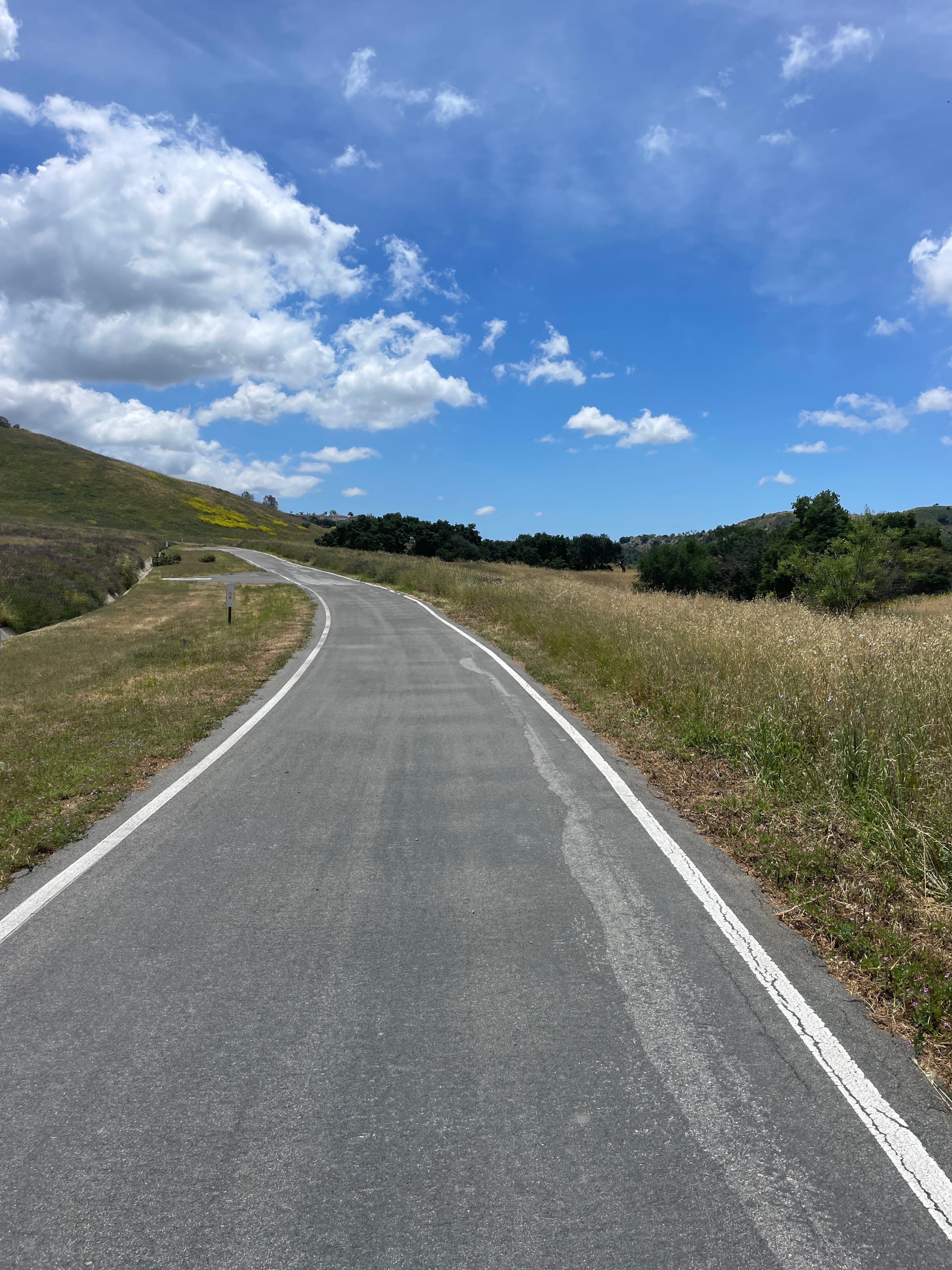 CHOPPING WOOD AND ZONE 2 TRAINING