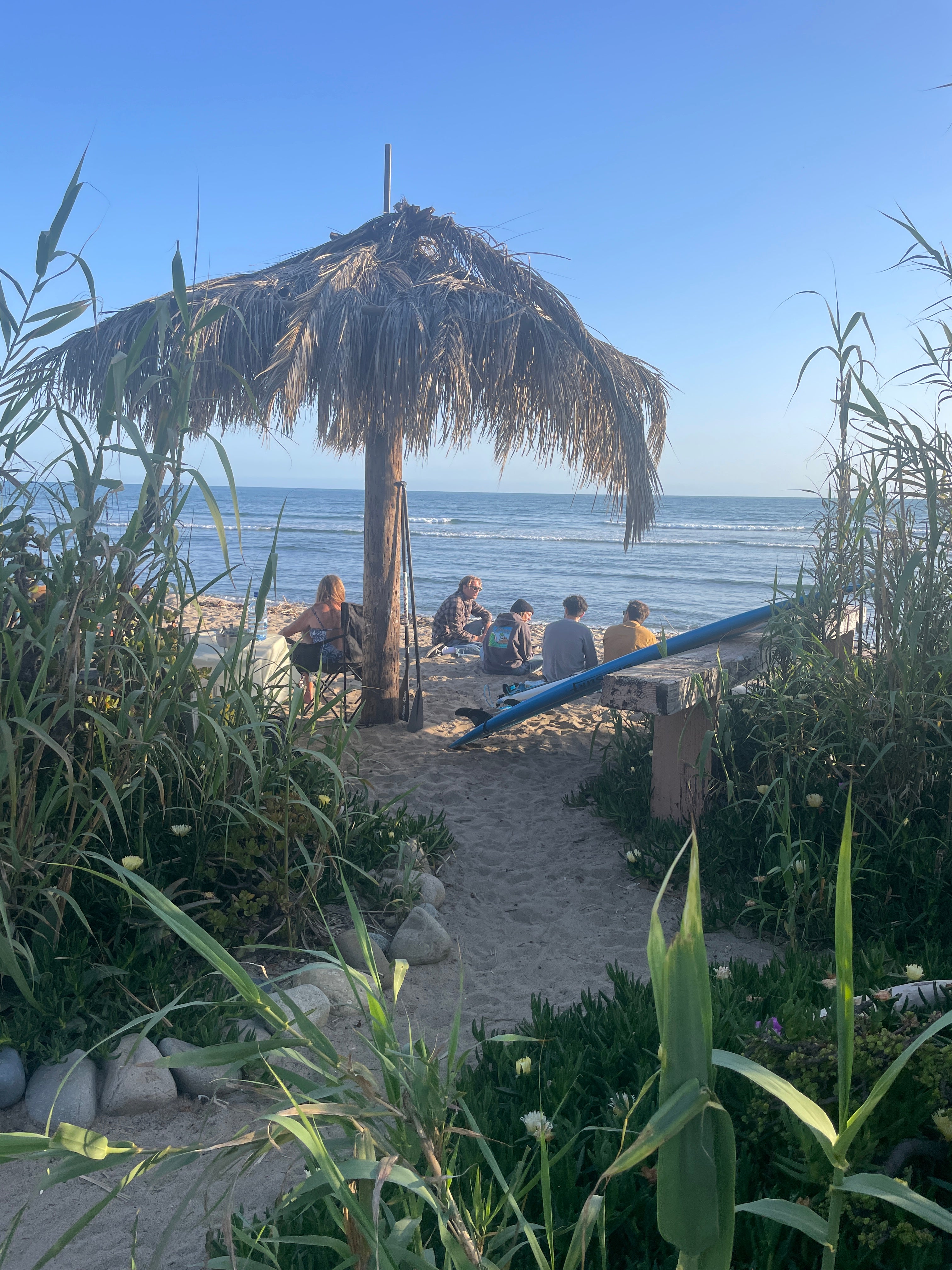 DO YOU HAVE FRIENDS IN HIGH PLACES LIKE MINE?