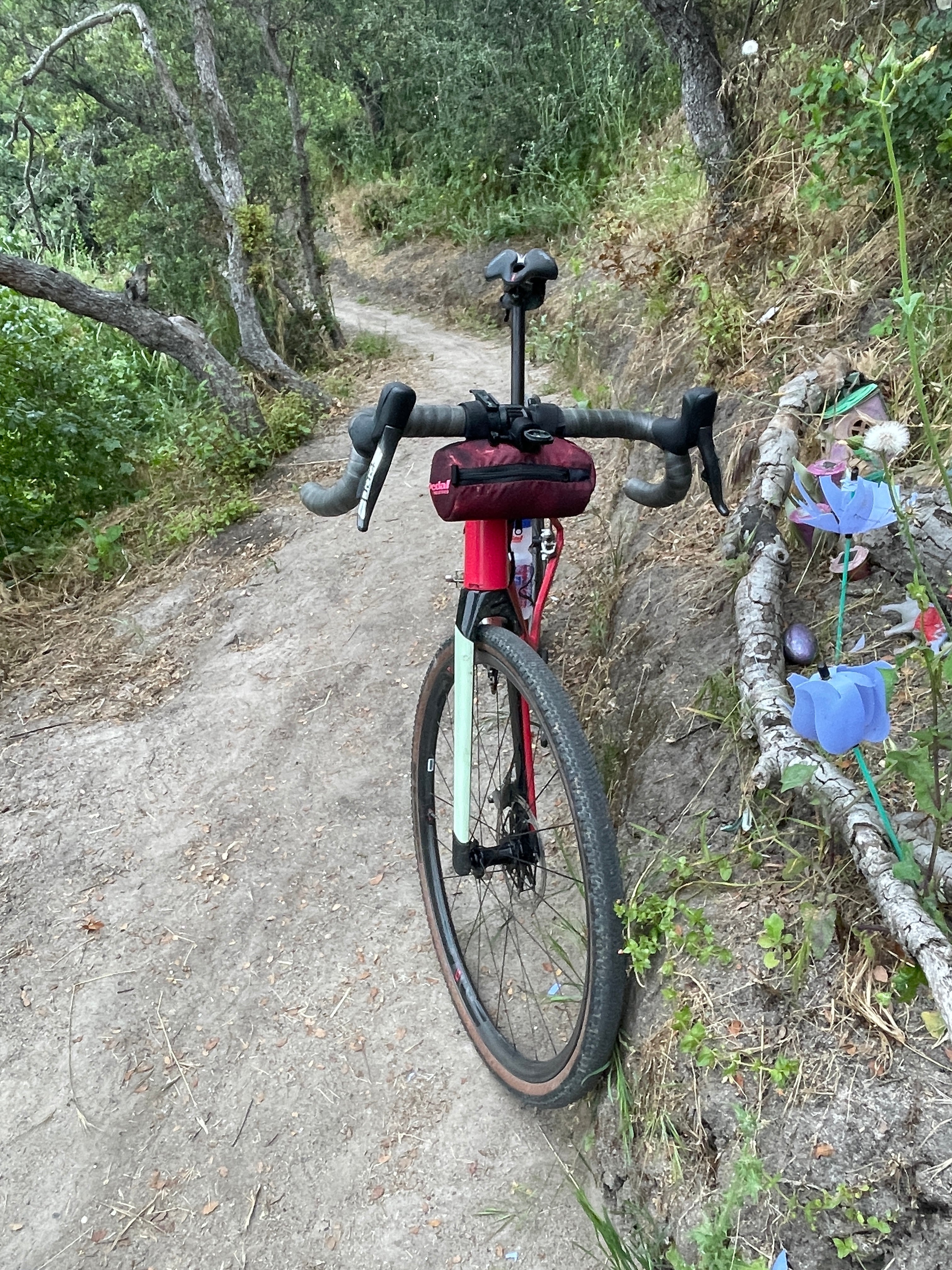 SOMETHINGS ARE BETTER NOT SAID