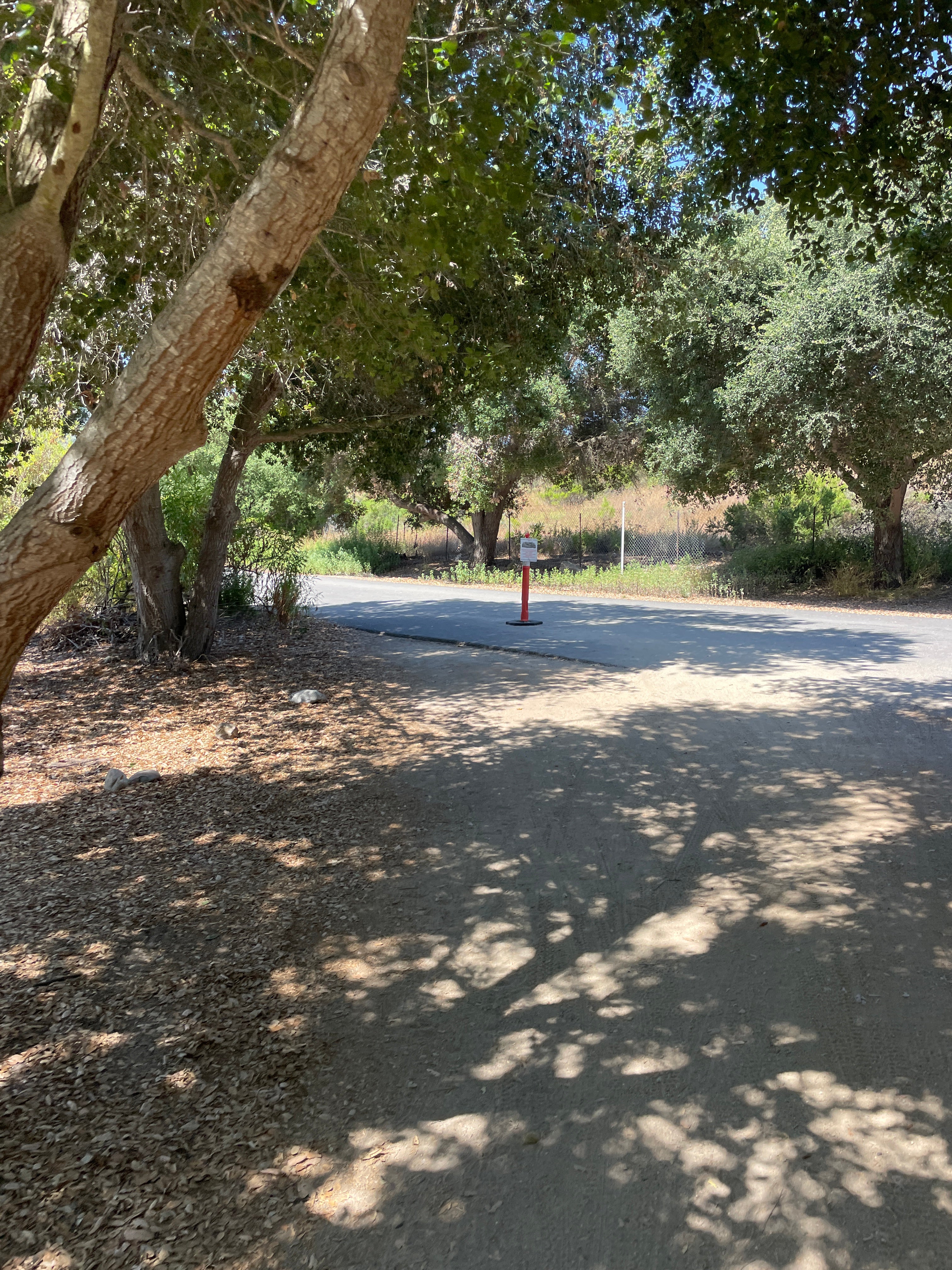 I HAVEN'T LOST A RACE IN 10 YEARS