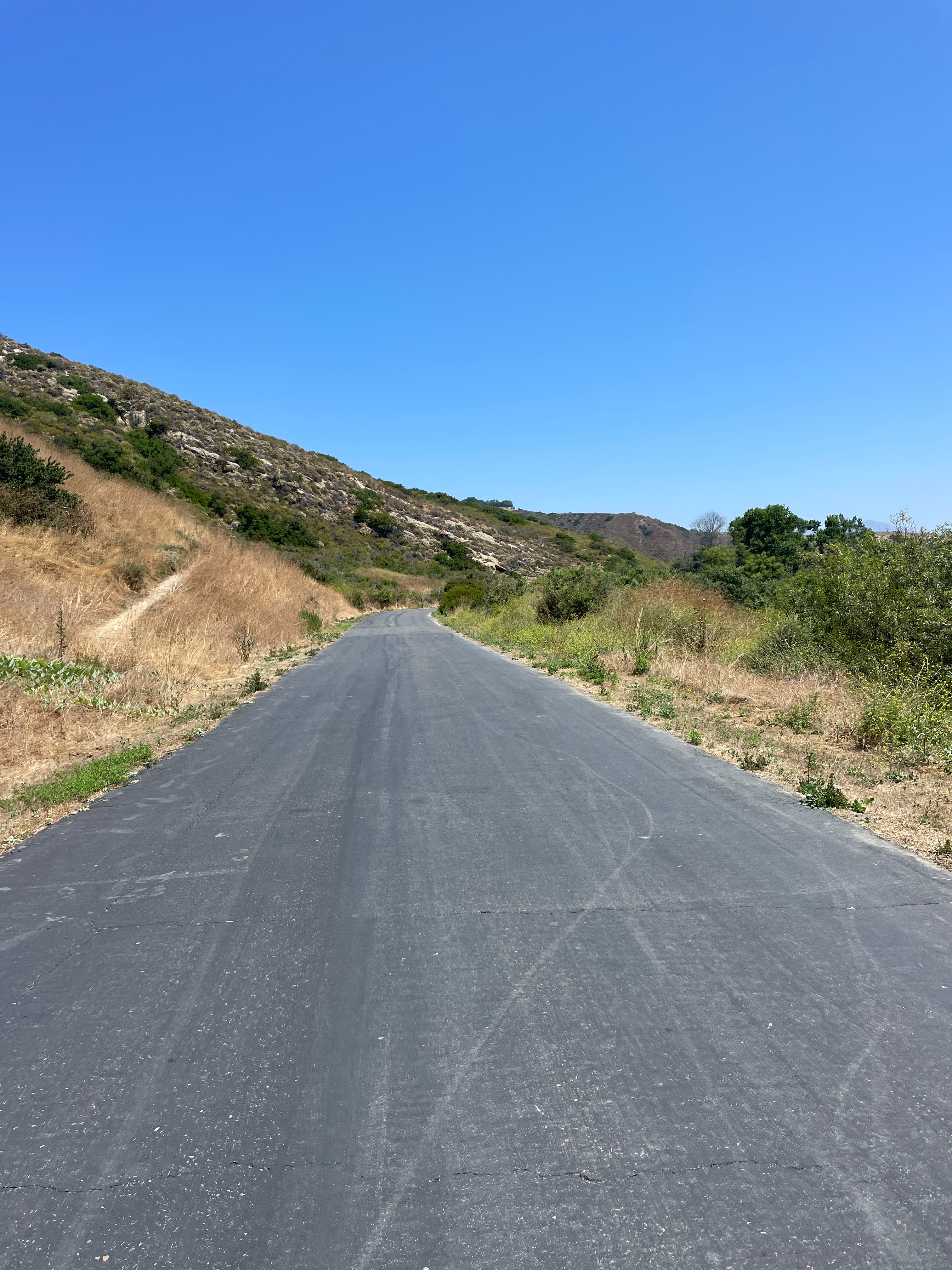 9 OUT OF 10 DOCTORS RECOMMEND