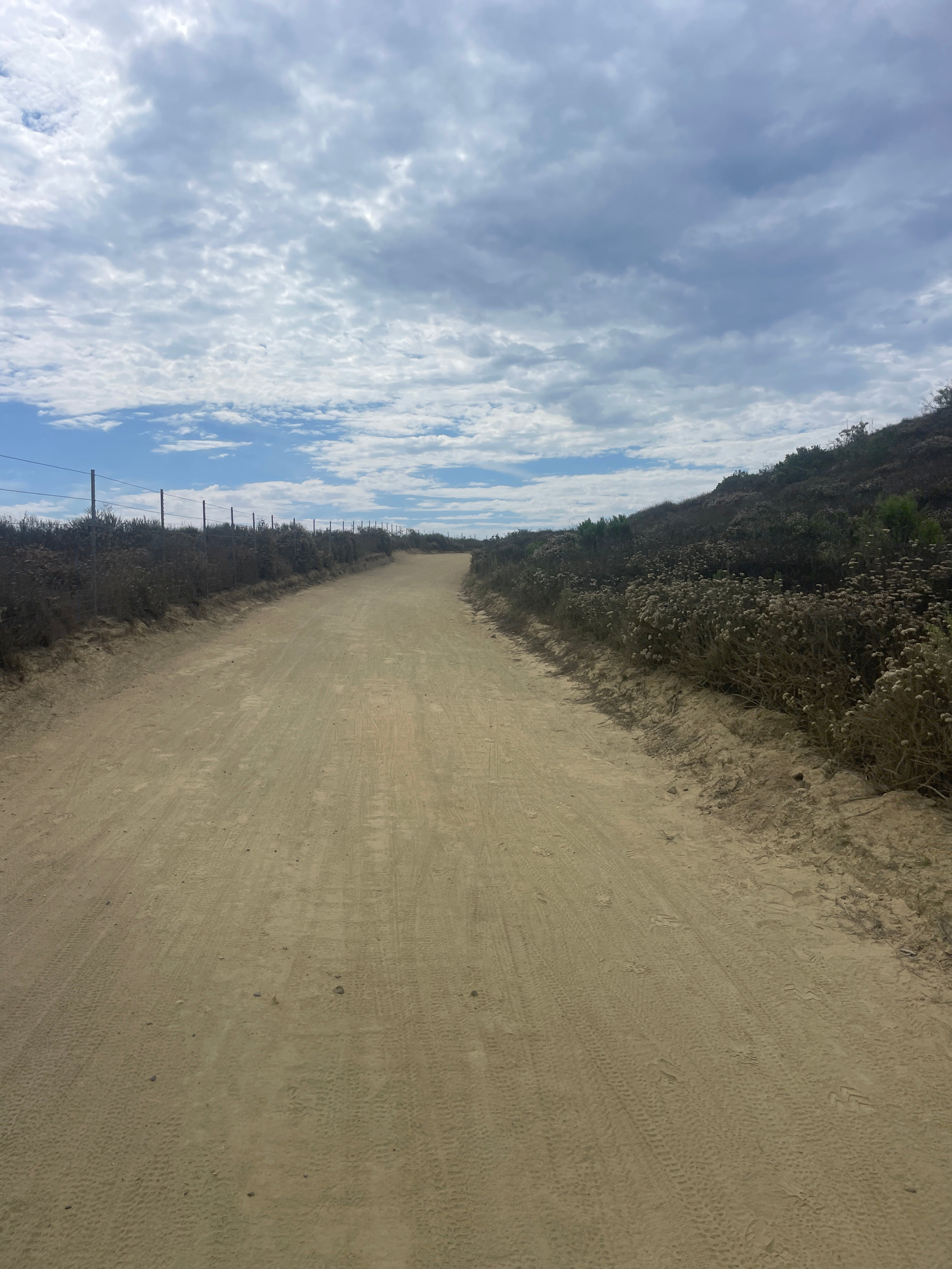 BEST RIDE OF THE YEAR WAS A BIG DISAPPOINTMENT