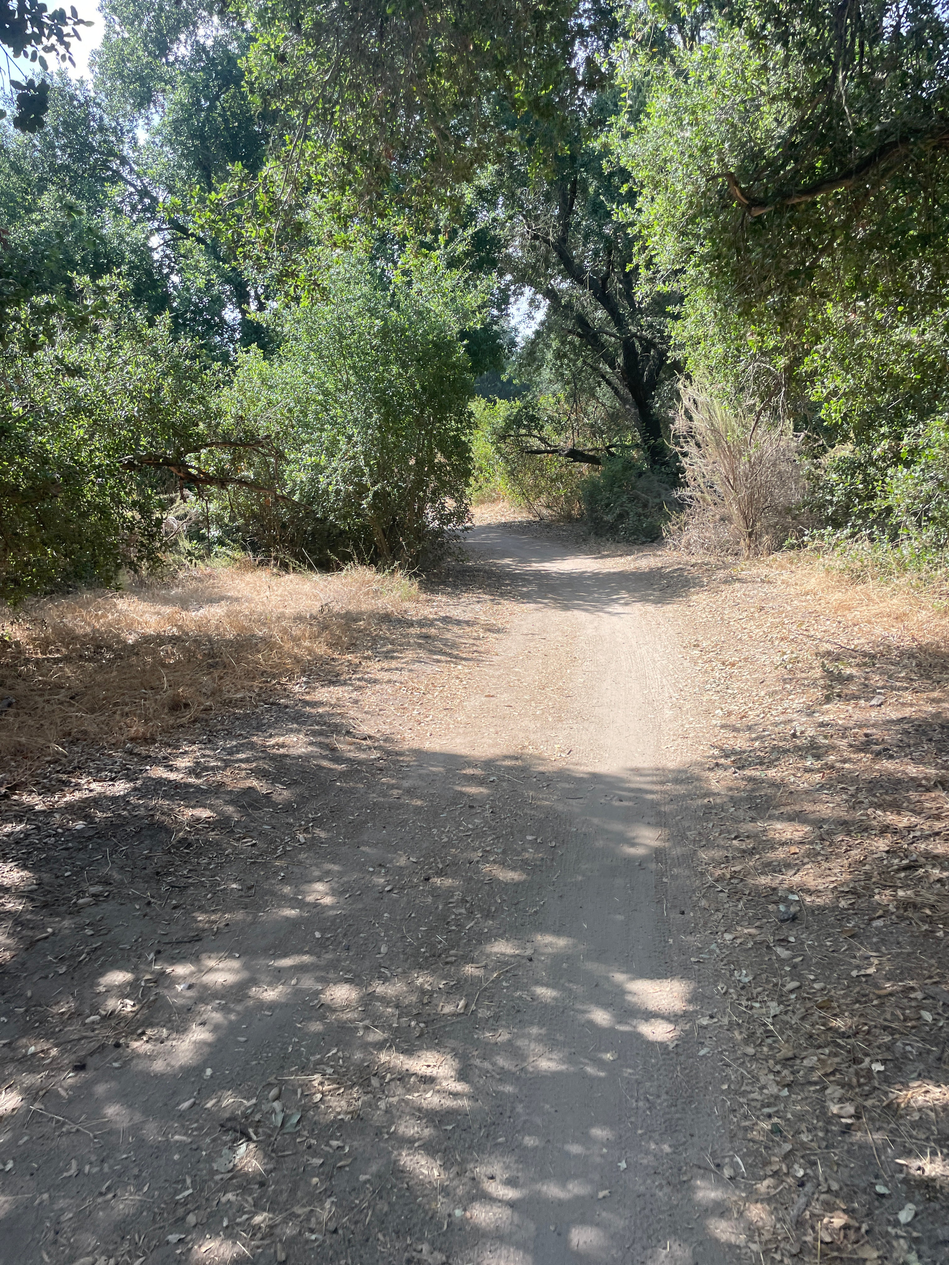 I HIT THAT DUDE HEAD ON!