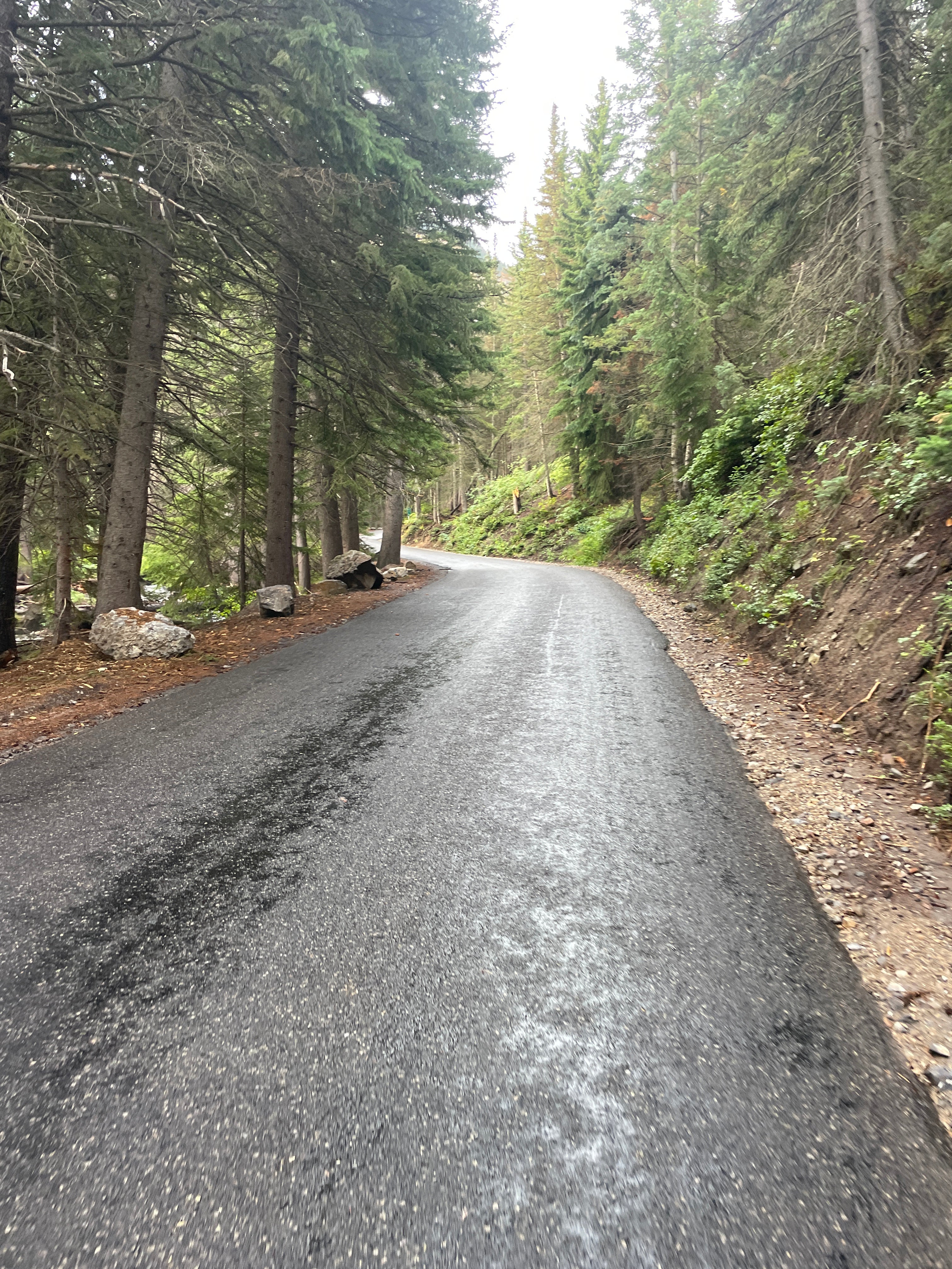 HOW DO YOU KNOW YOUR TRAINING IS ON TRACK?