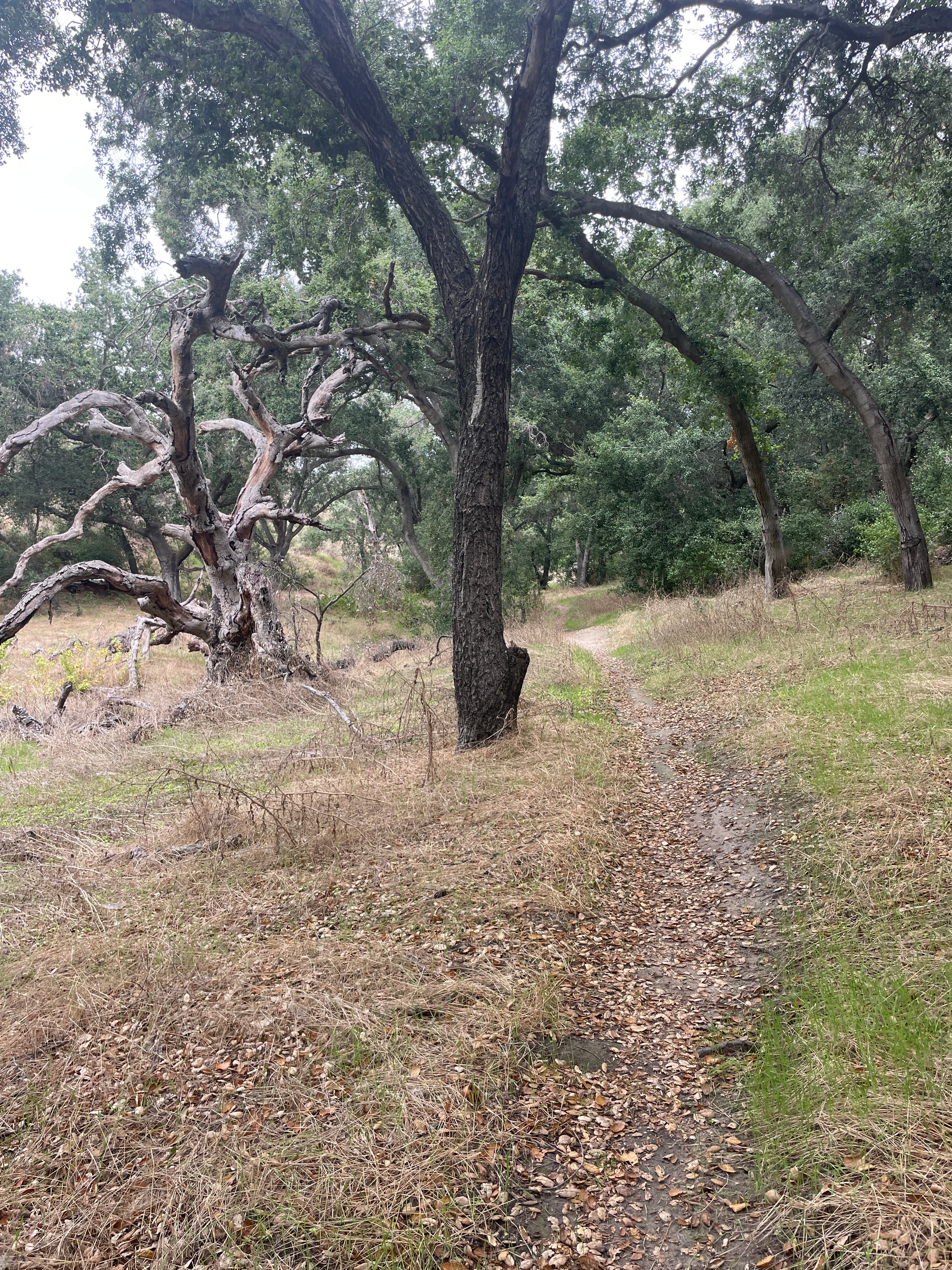 DEFLATION AND INFLATION