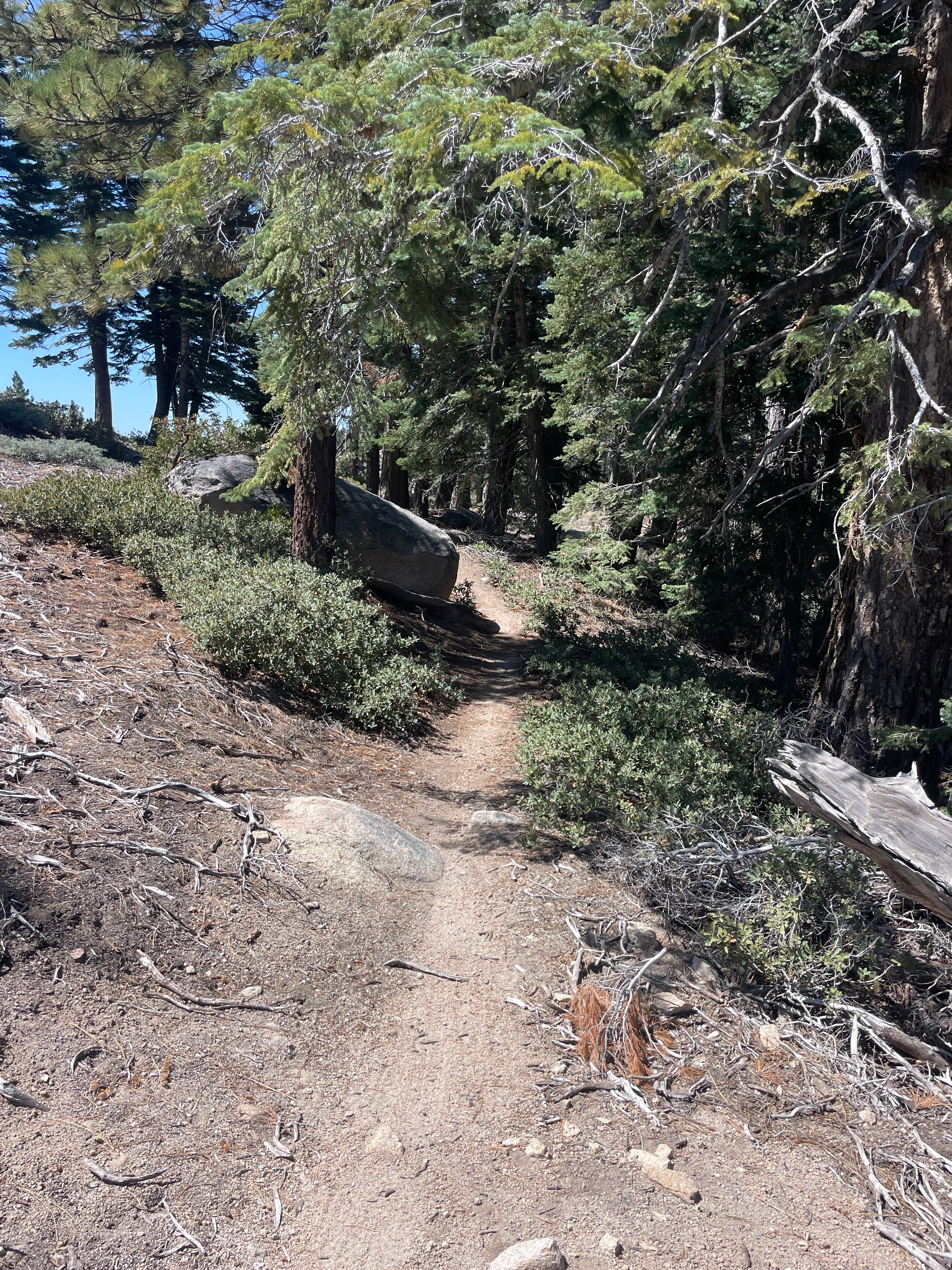 DROP ANCHOR OR DROP BALLAST?