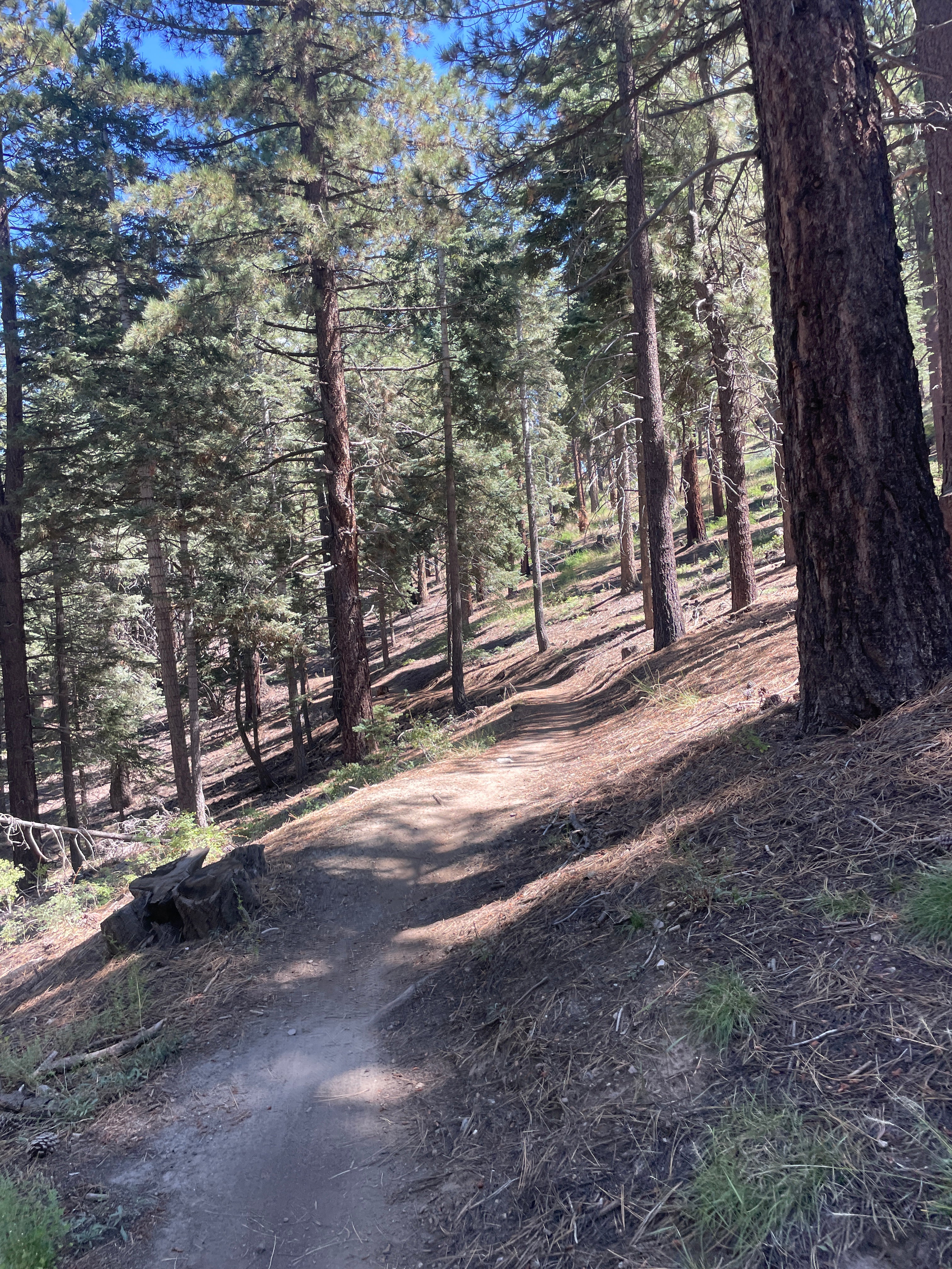 REAL POWER MAKING IS MADE WITH...