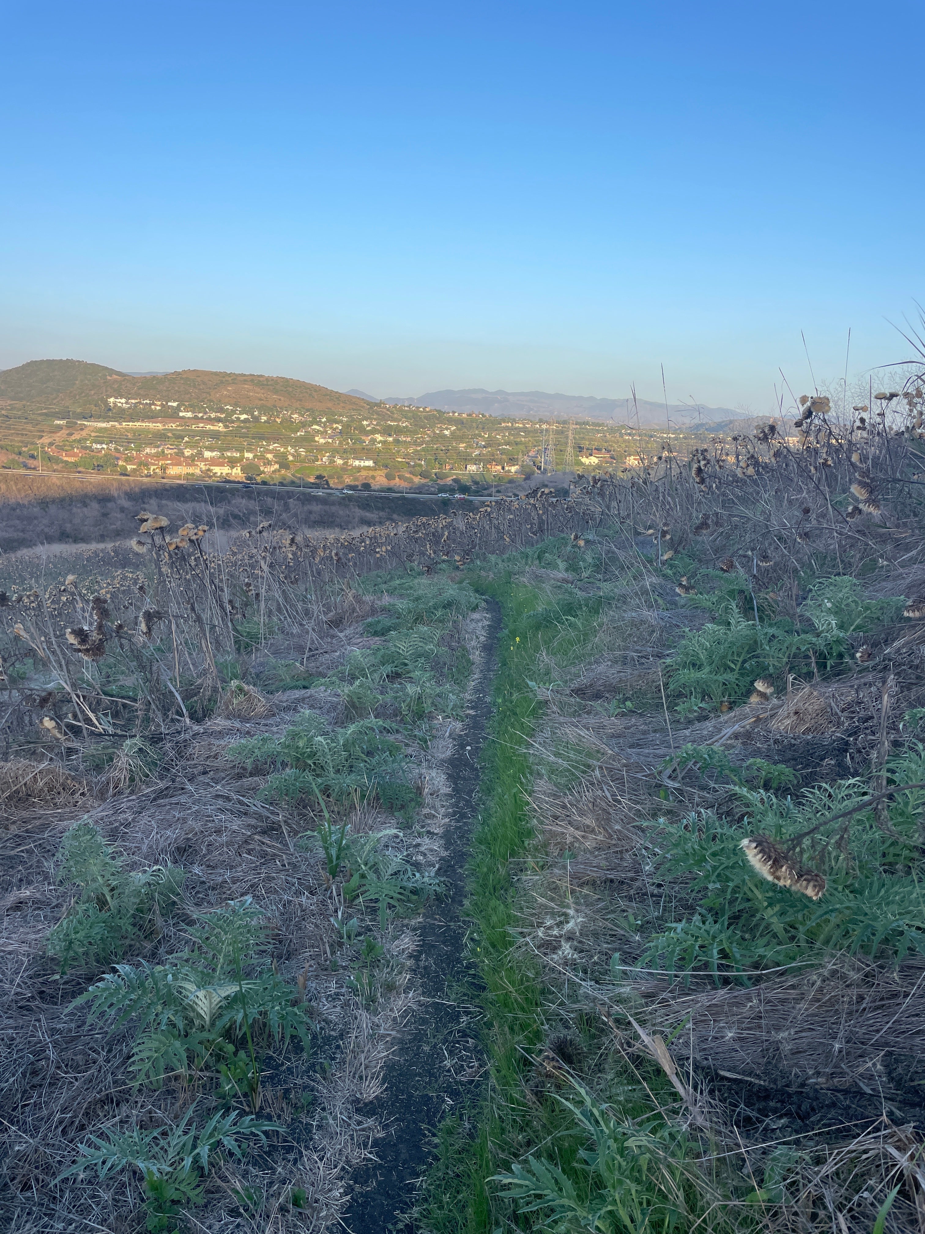 AVOID TRIGGERING THIS HEART PROBLEM