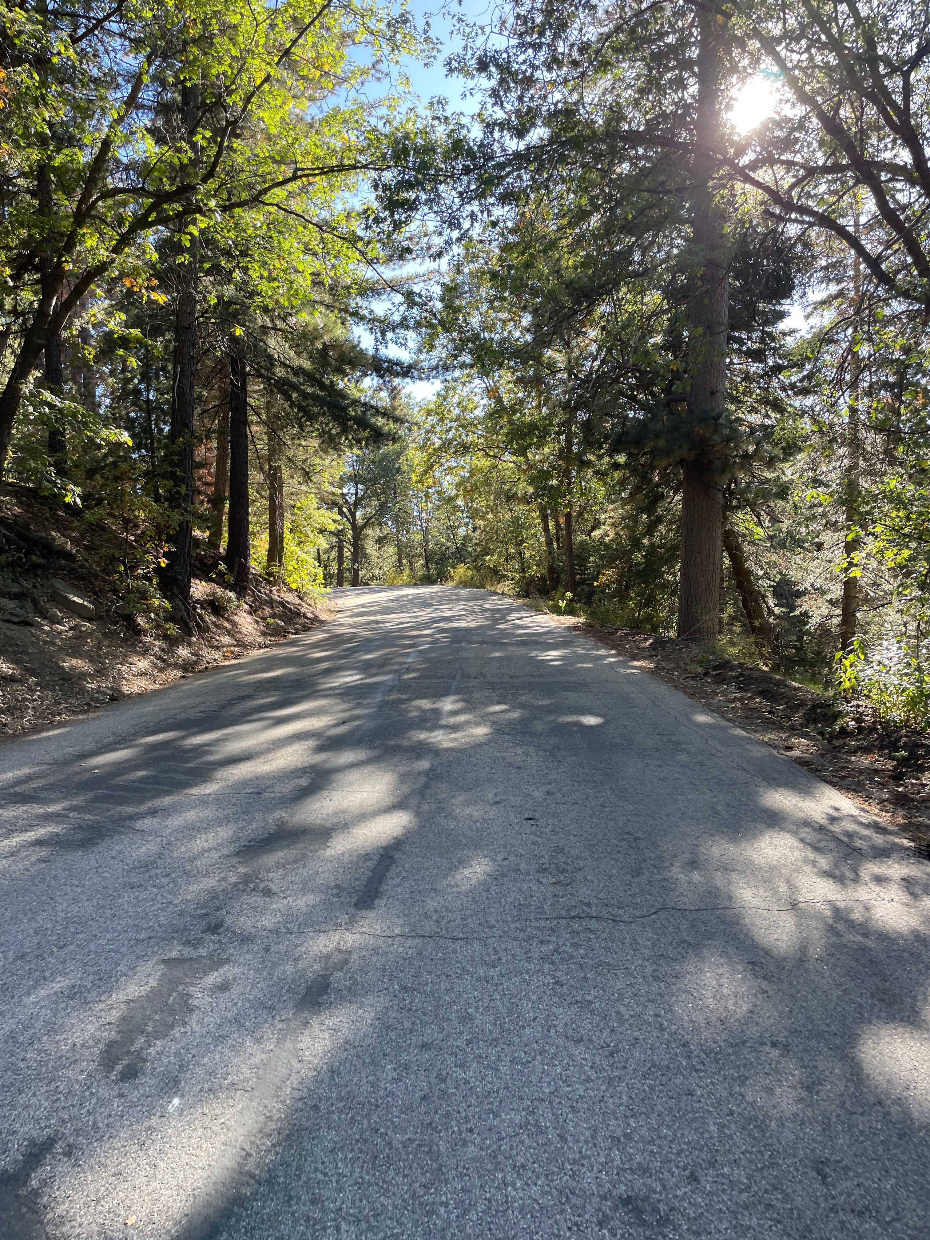 SHOULD WE SHIFT GEARS MORE OFTEN?