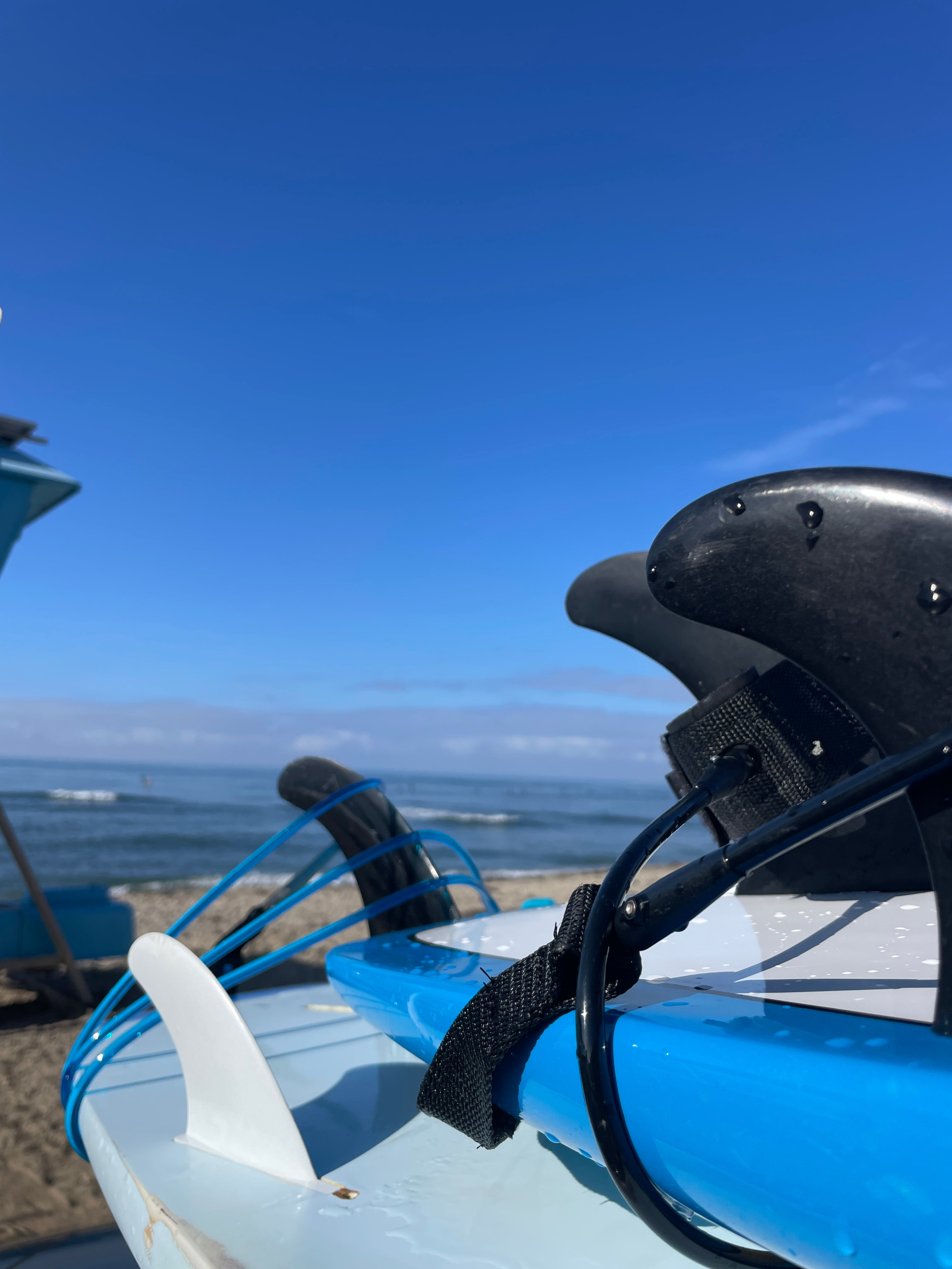 BULGARIAN SPLIT SQUATS DID WHAT?