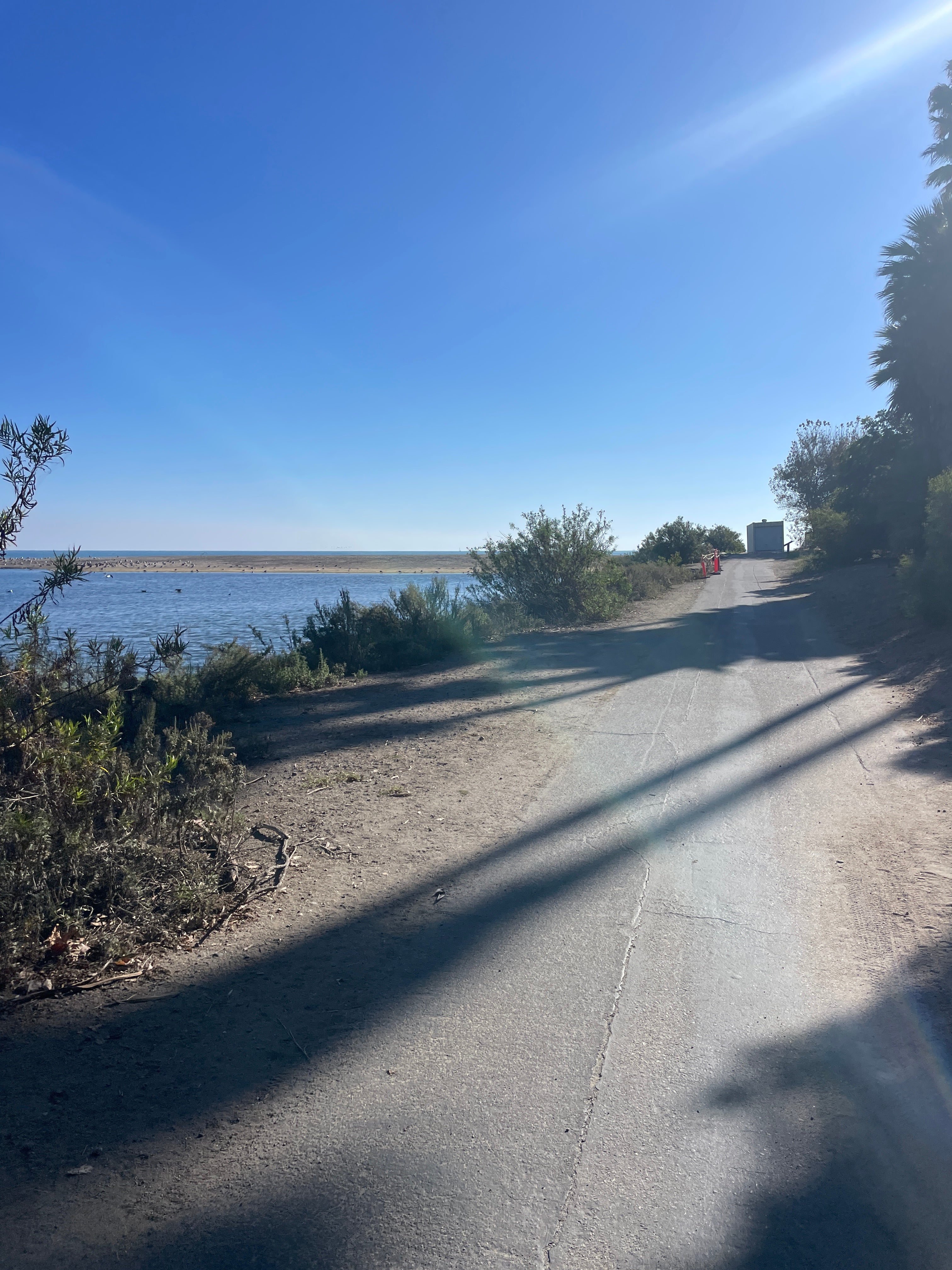 IF IT'S WORTH DOING...