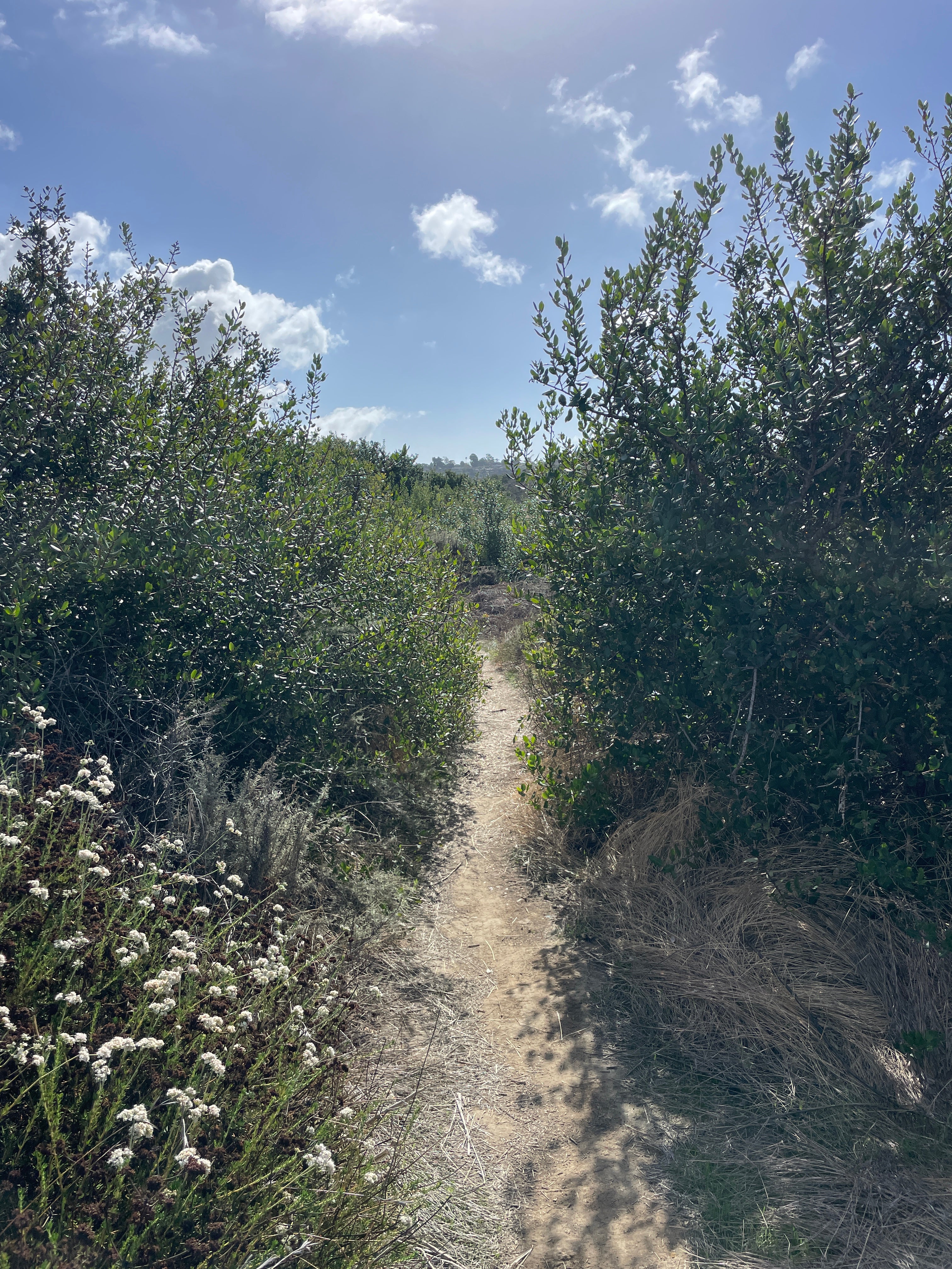 WE KNOW WHAT IT IS, THEY THINK THEY DO