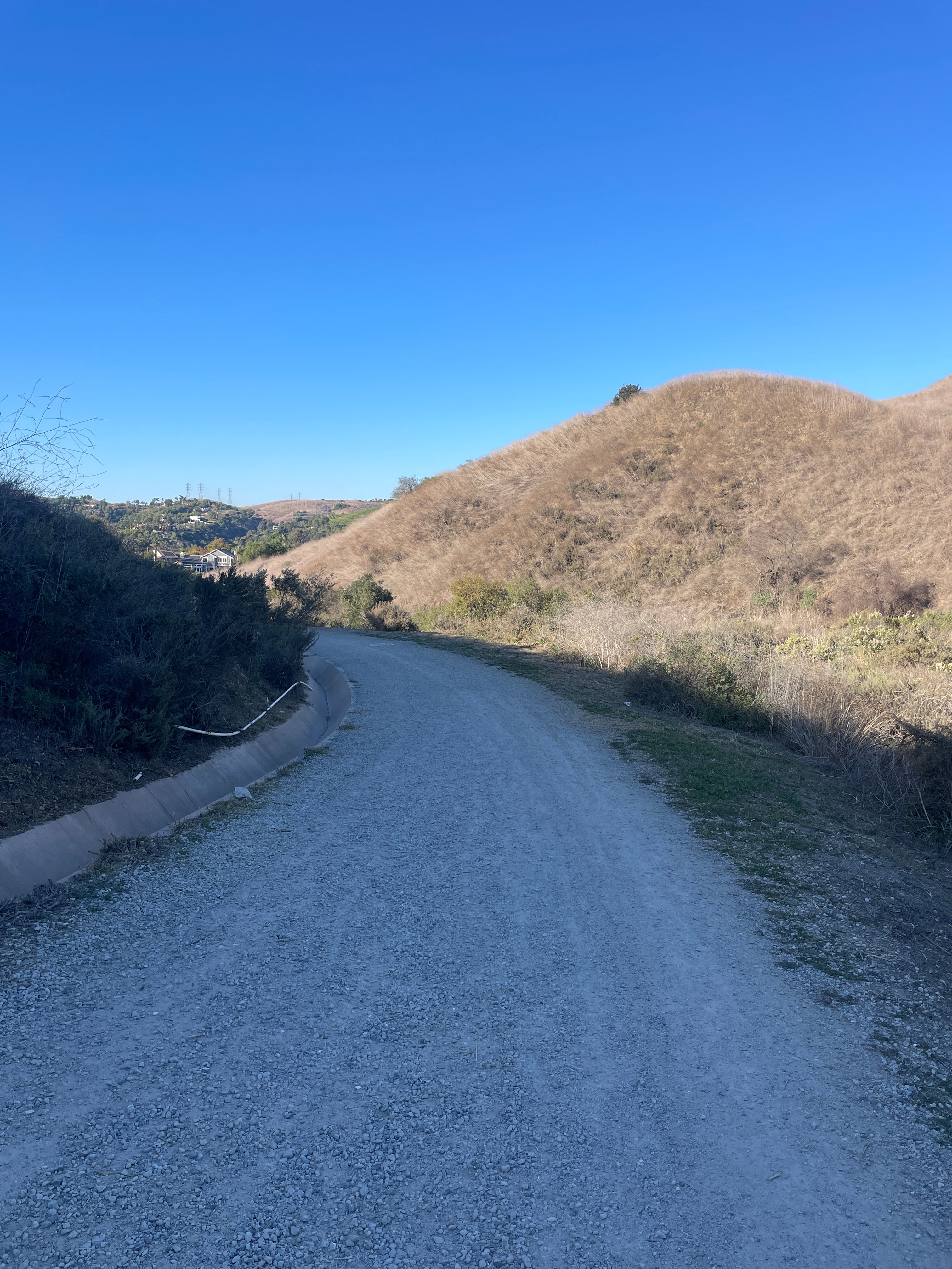 GIVE ME TREACHEROUS OR GIVE ME DEATH