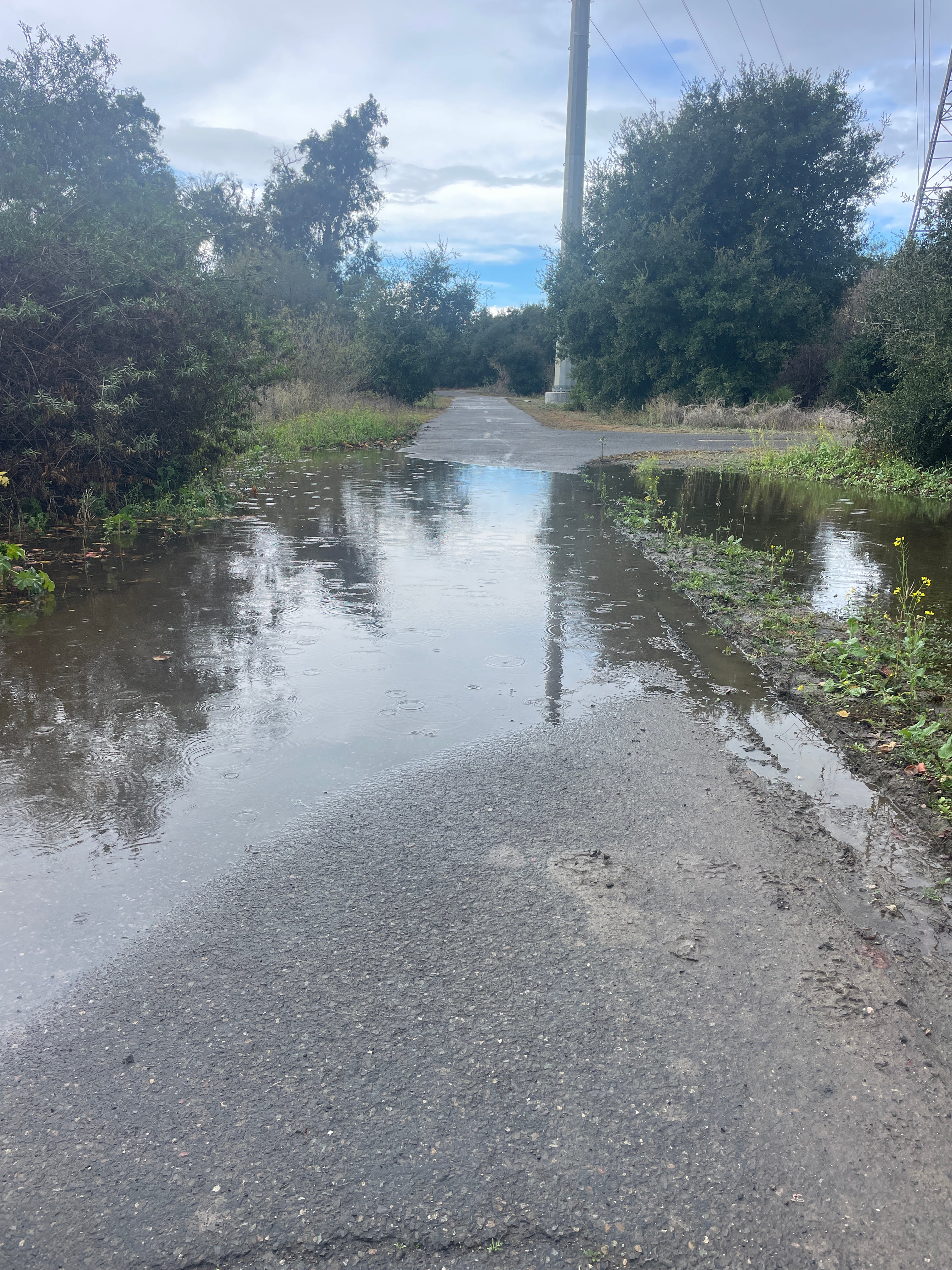 DO YOU HAVE A SPECIAL SIGNAL?