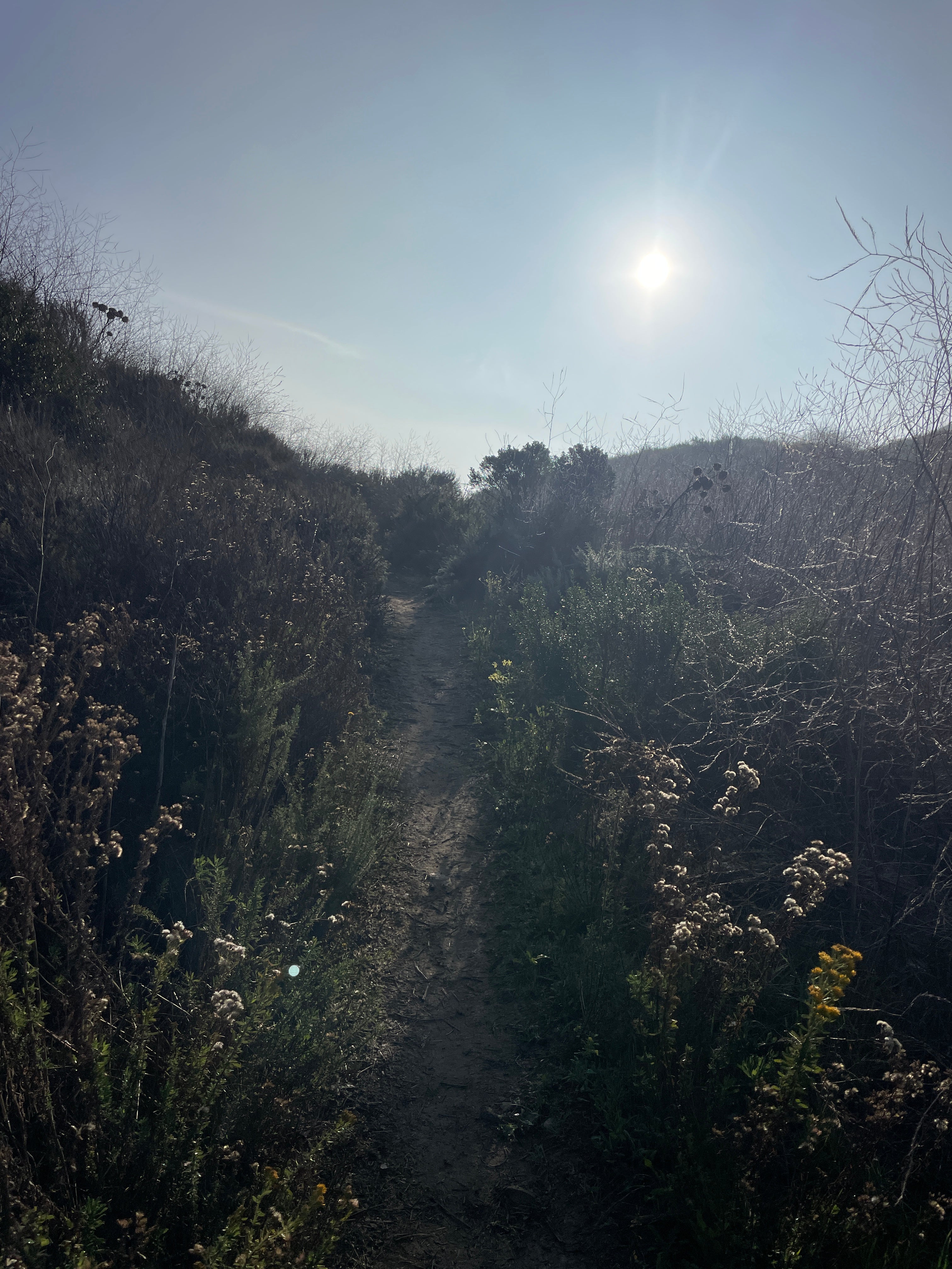 DO YOU HAVE A TAGLINE?