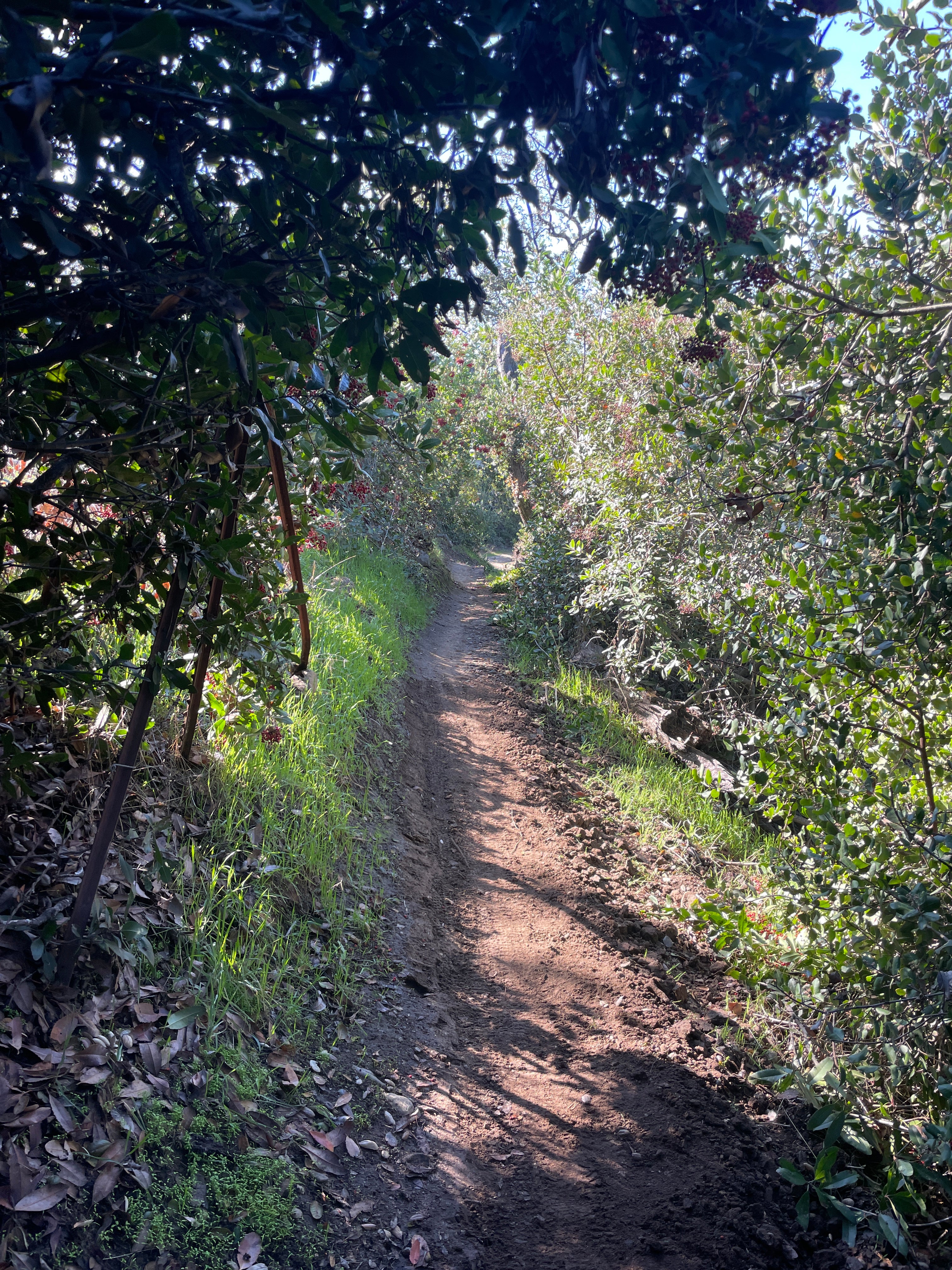 HOW MANY RACE SEASONS ARE THERE?