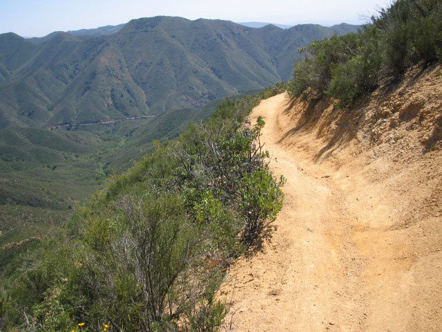 THIS TIME IT WON'T HURT