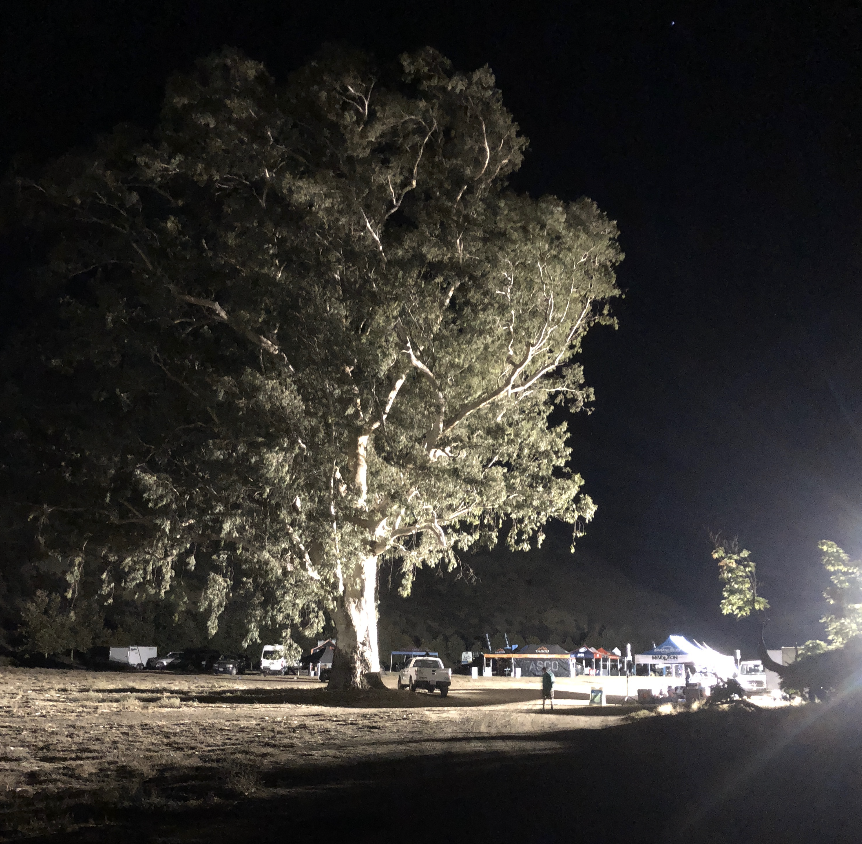 AND I HAVE CHOSEN THE GOOD PART