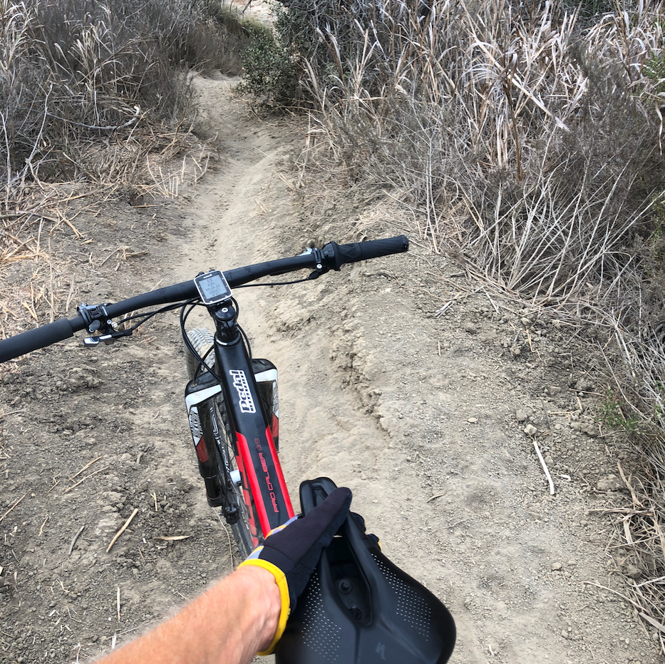 THE TRAIL NEVER TAKEN