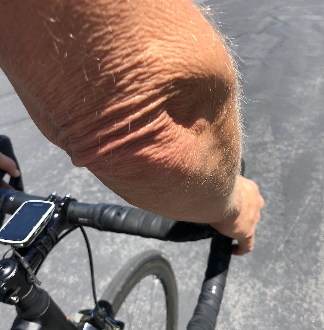 LIKE RINGS IN A TREE