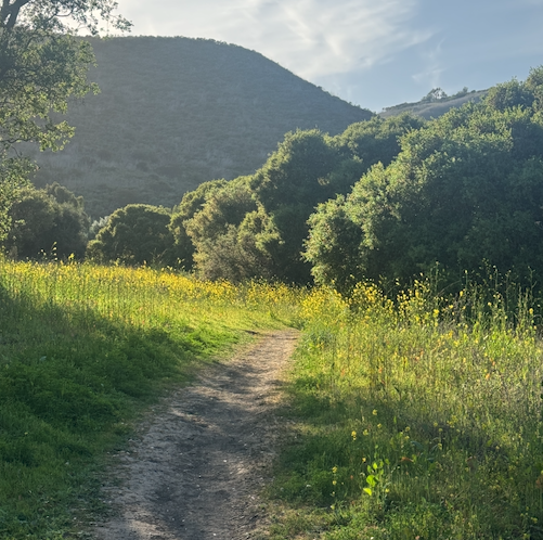 ACCORDING TO DAVE...