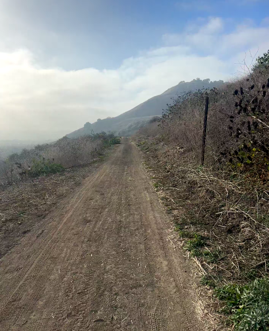 FAMOUS COACHES ARE GETTING FIRED RIGHT AND LEFT