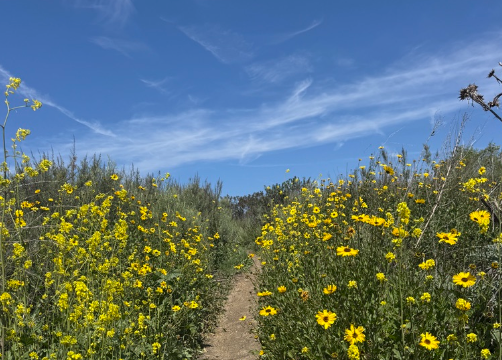 IS YOUR ARG HIGH ENOUGH?