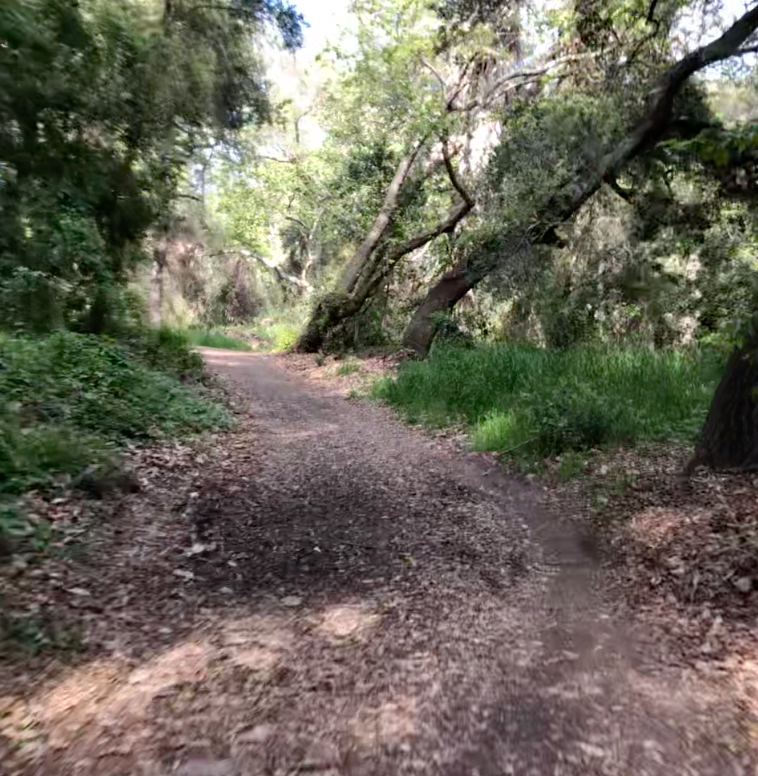 ARE YOU USING YOUR ANGRINALIN TO DOMINATE?