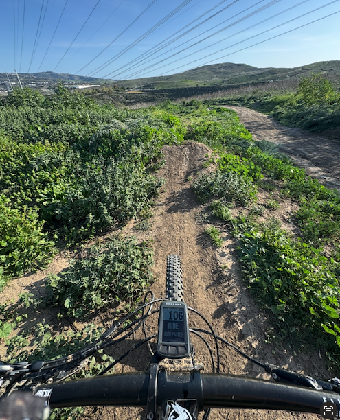 JUST BECAUSE WE CAN'T...