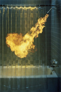 AINT NO SHOWER HOT ENOUGH