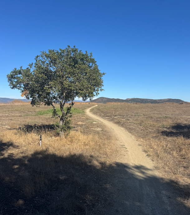 THE STAT THAT'S KILLING OUR TRAINING