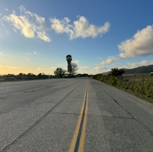 I'VE FINALLY HATCHED THE PLAN